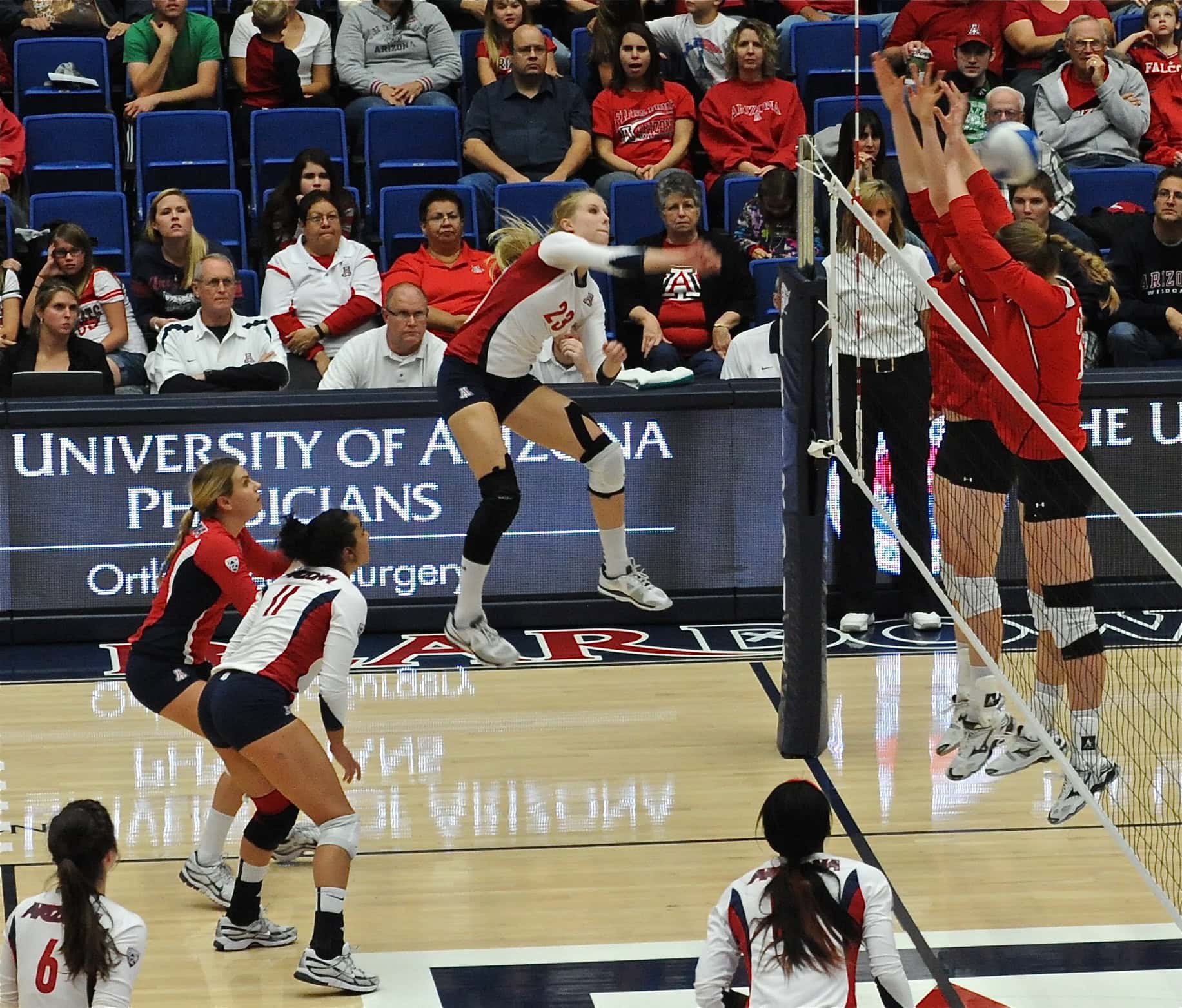 UA Utah Volleyball 11/11/11