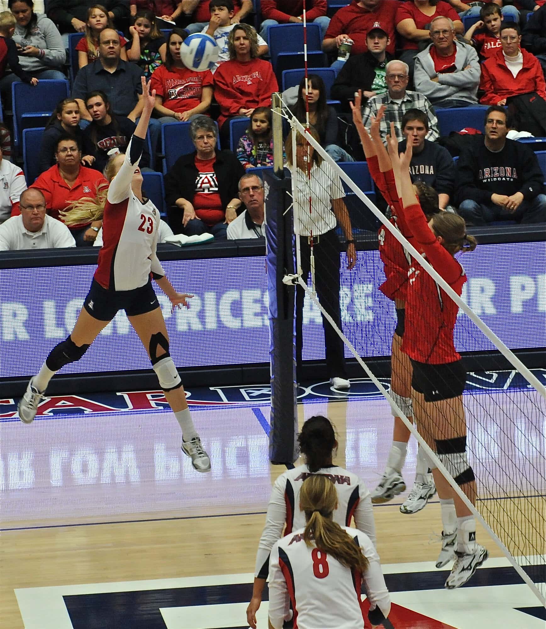 UA Utah Volleyball 11/11/11