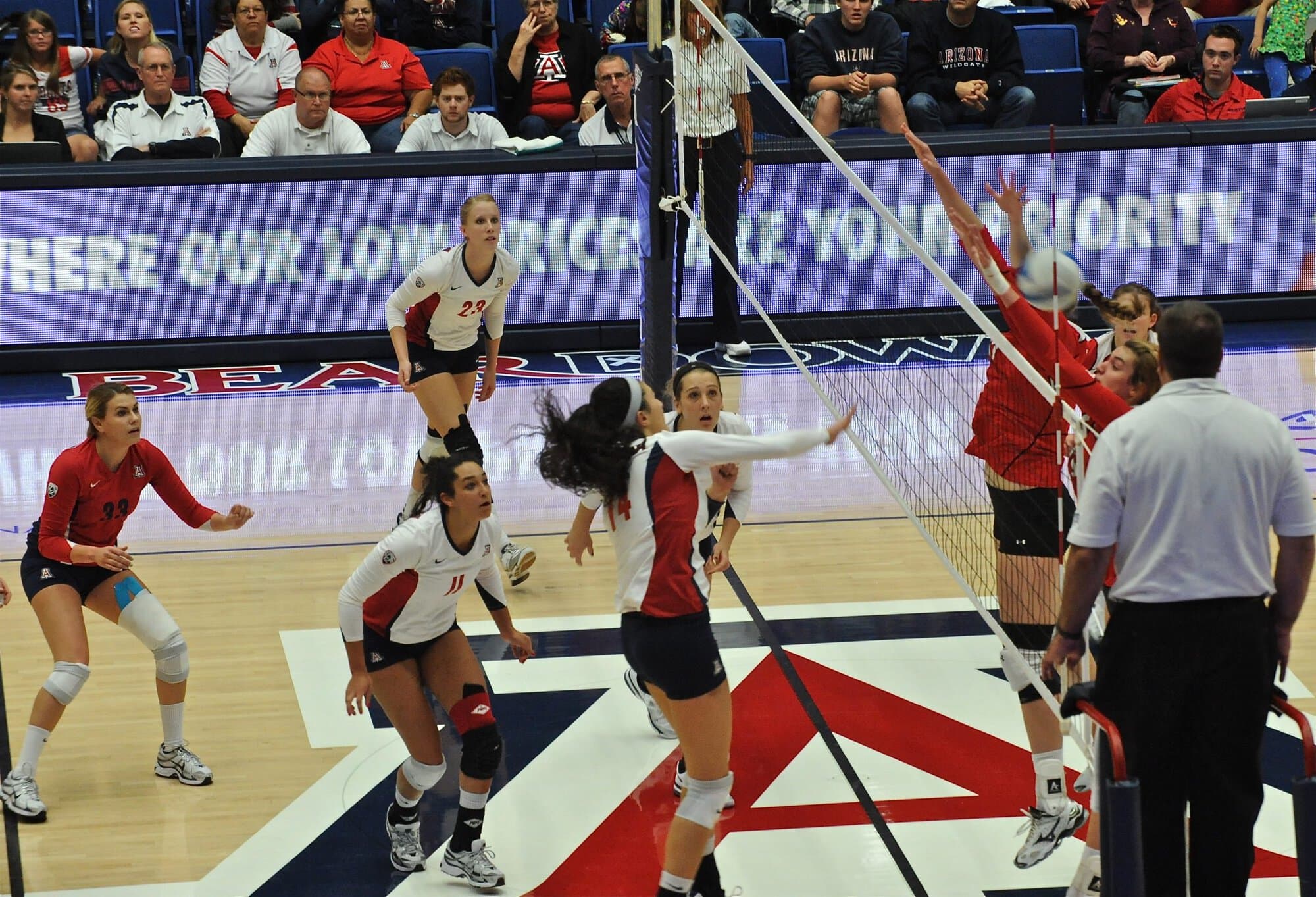 UA Utah Volleyball 11/11/11