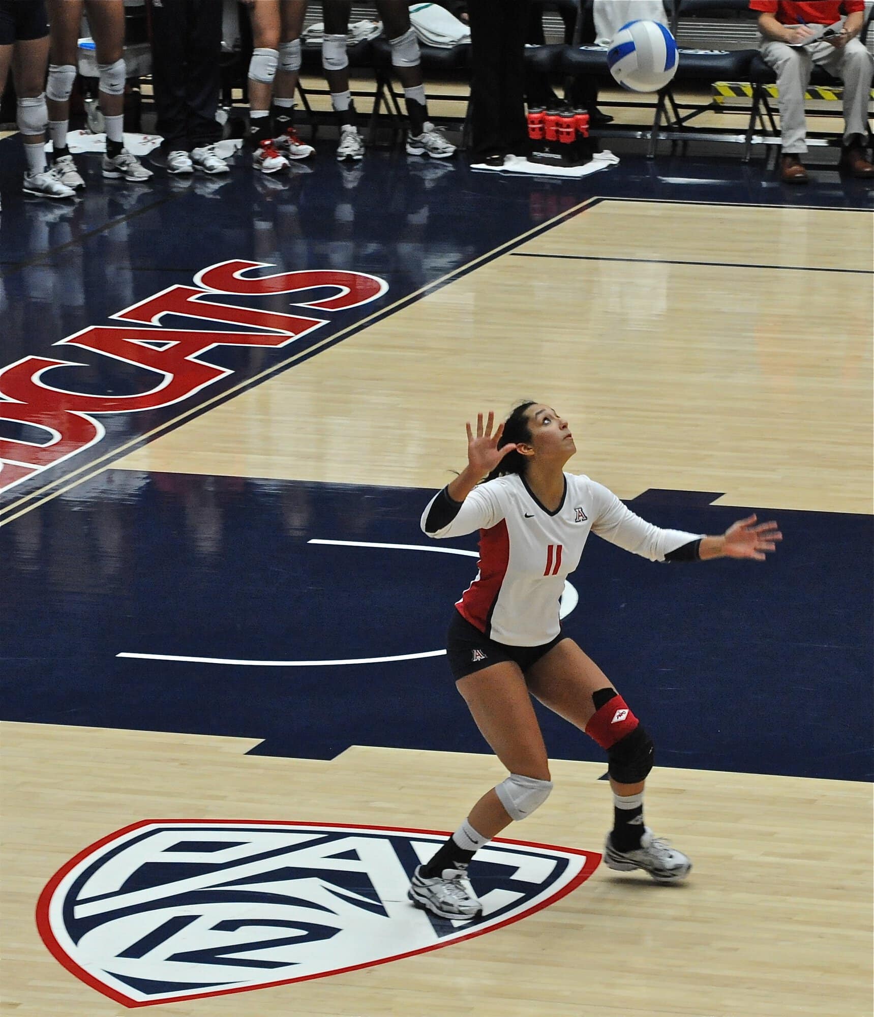 UA Utah Volleyball 11/11/11
