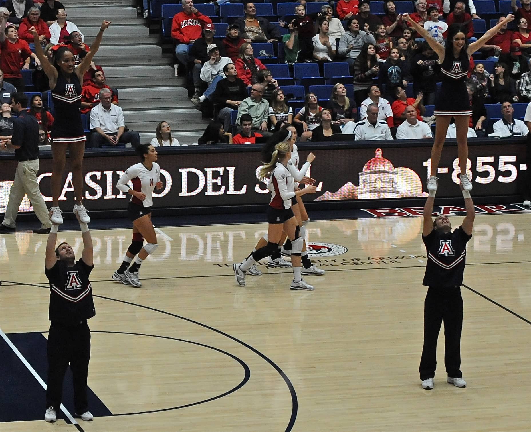 UA Utah Volleyball 11/11/11