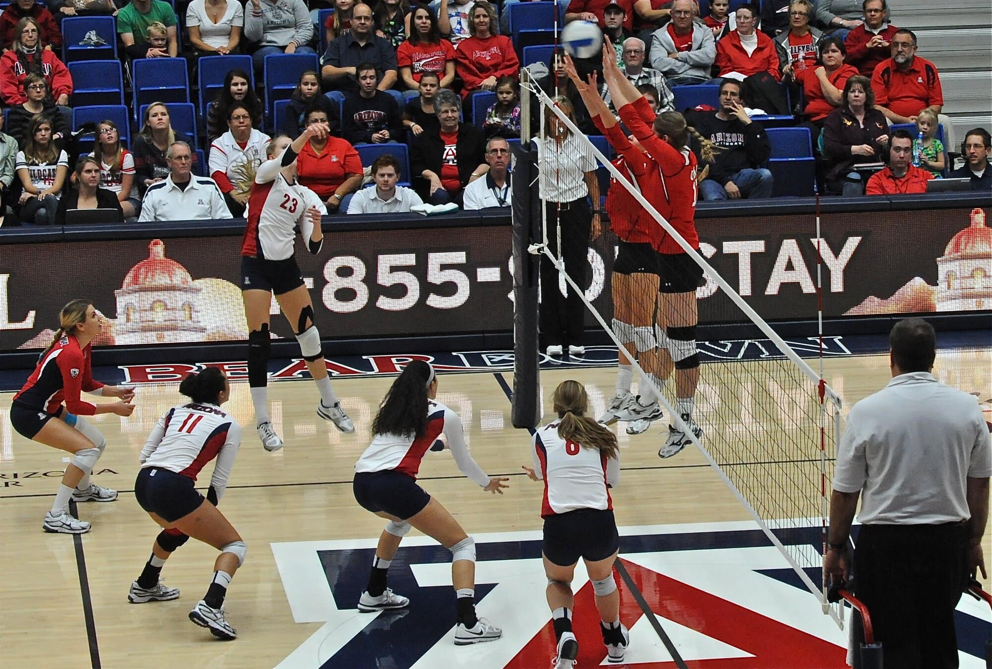 UA Utah Volleyball 11/11/11