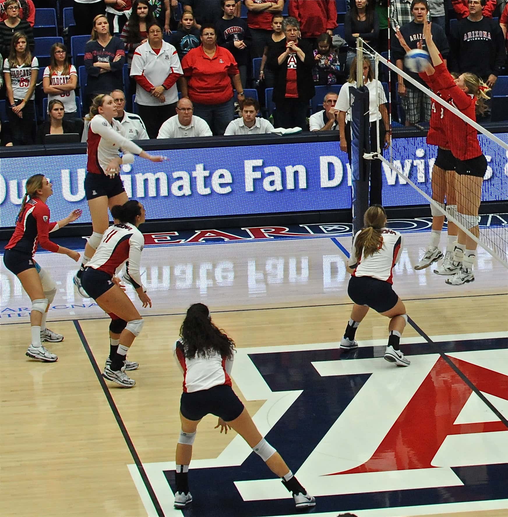 UA Utah Volleyball 11/11/11