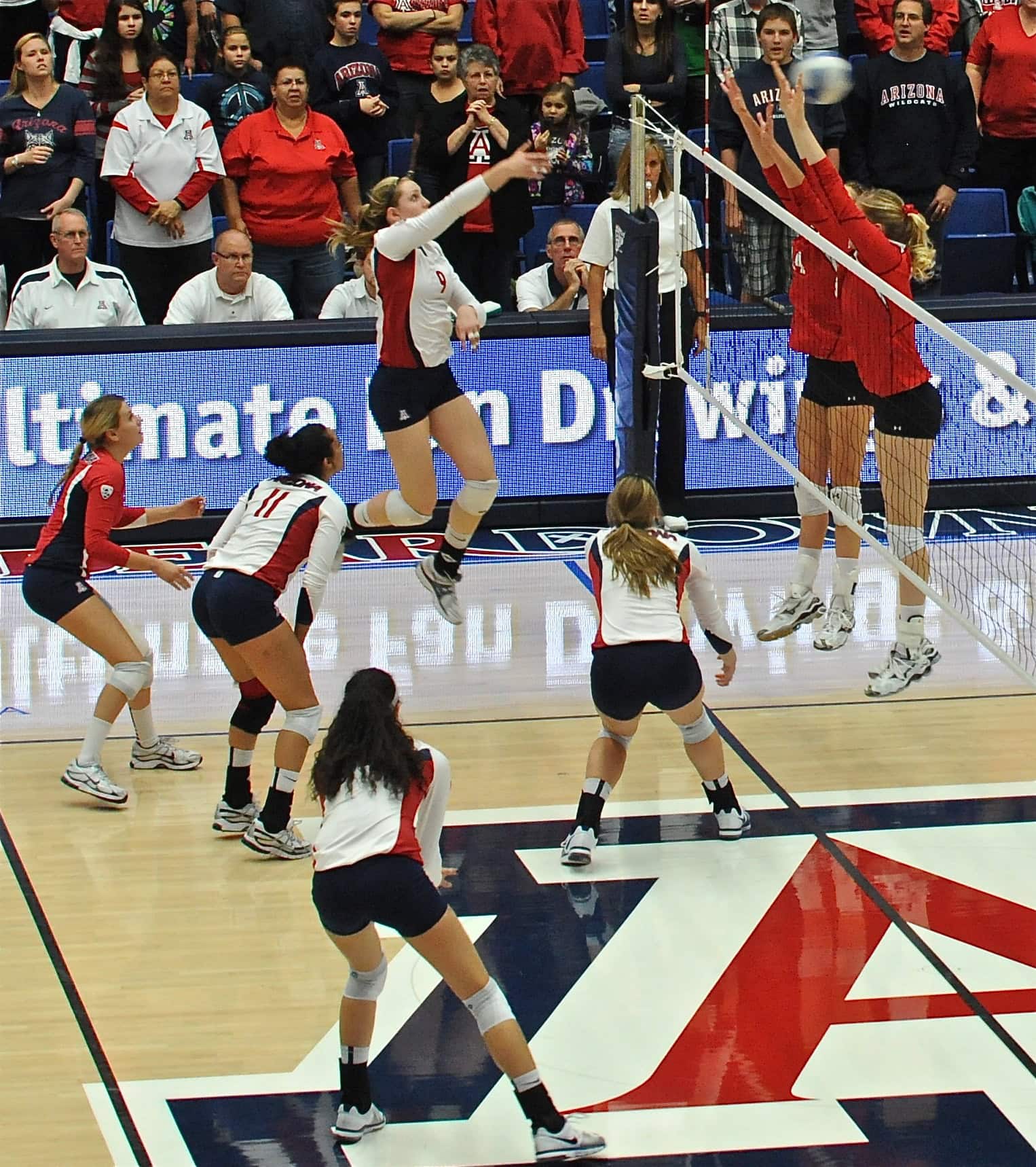 UA Utah Volleyball 11/11/11