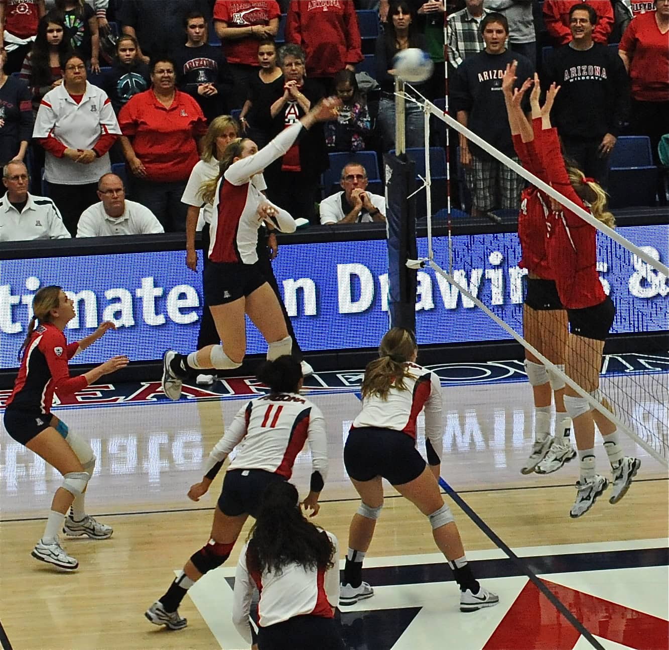 UA Utah Volleyball 11/11/11