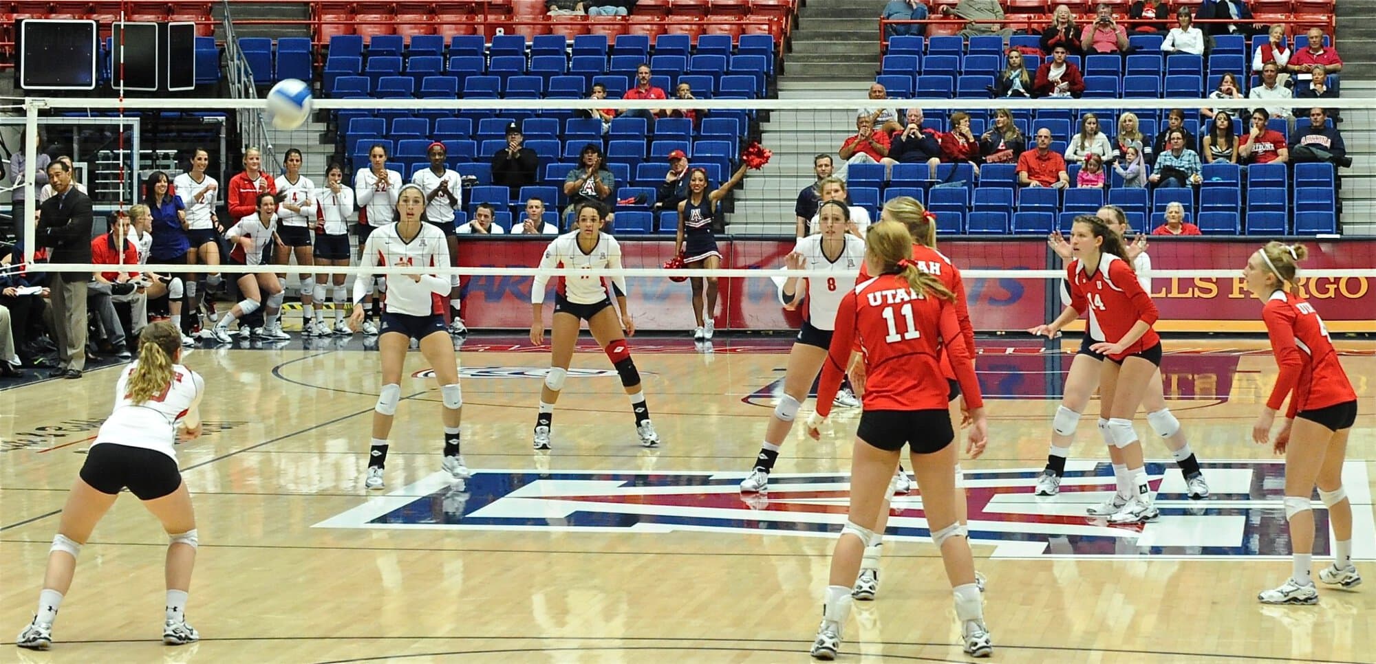 UA Utah Volleyball 11/11/11