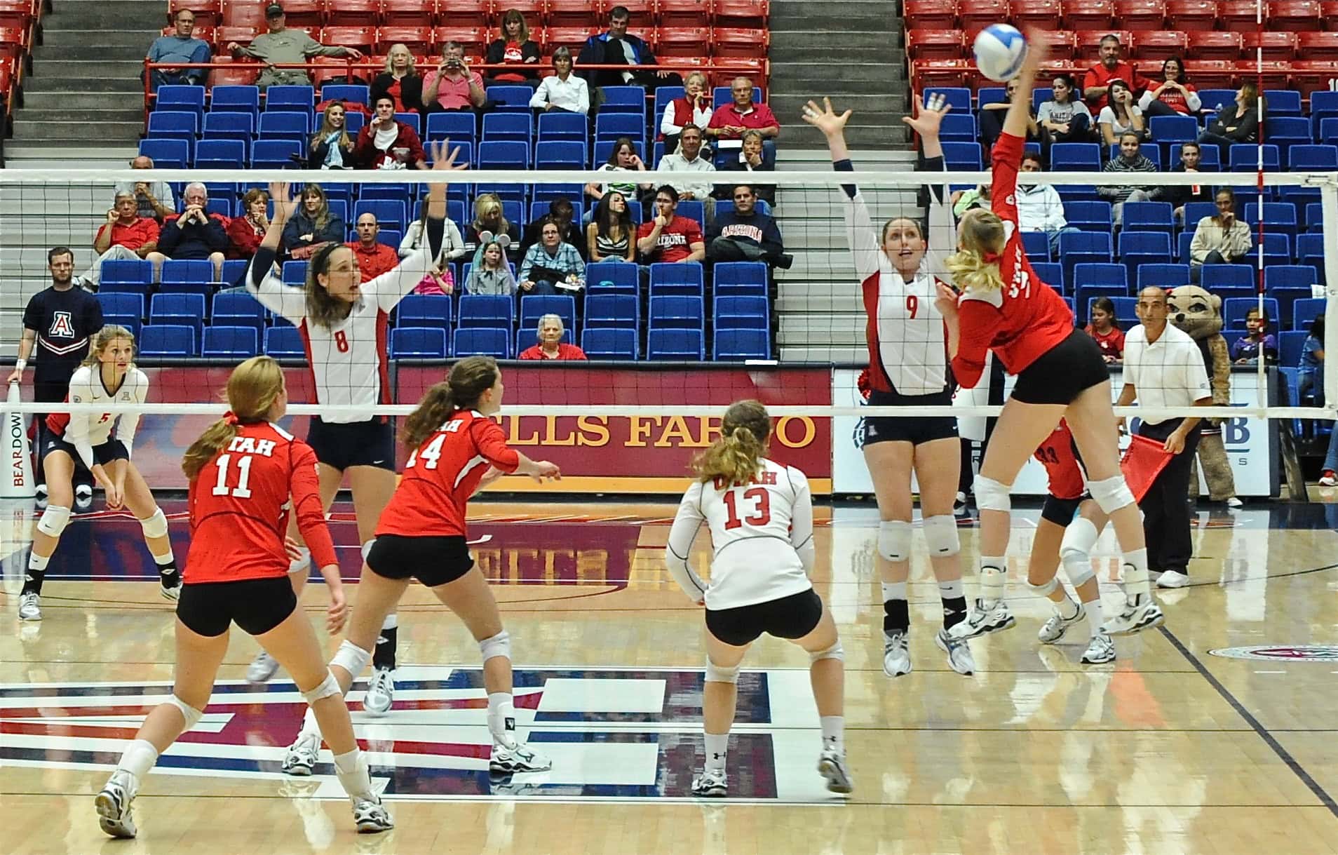 UA Utah Volleyball 11/11/11