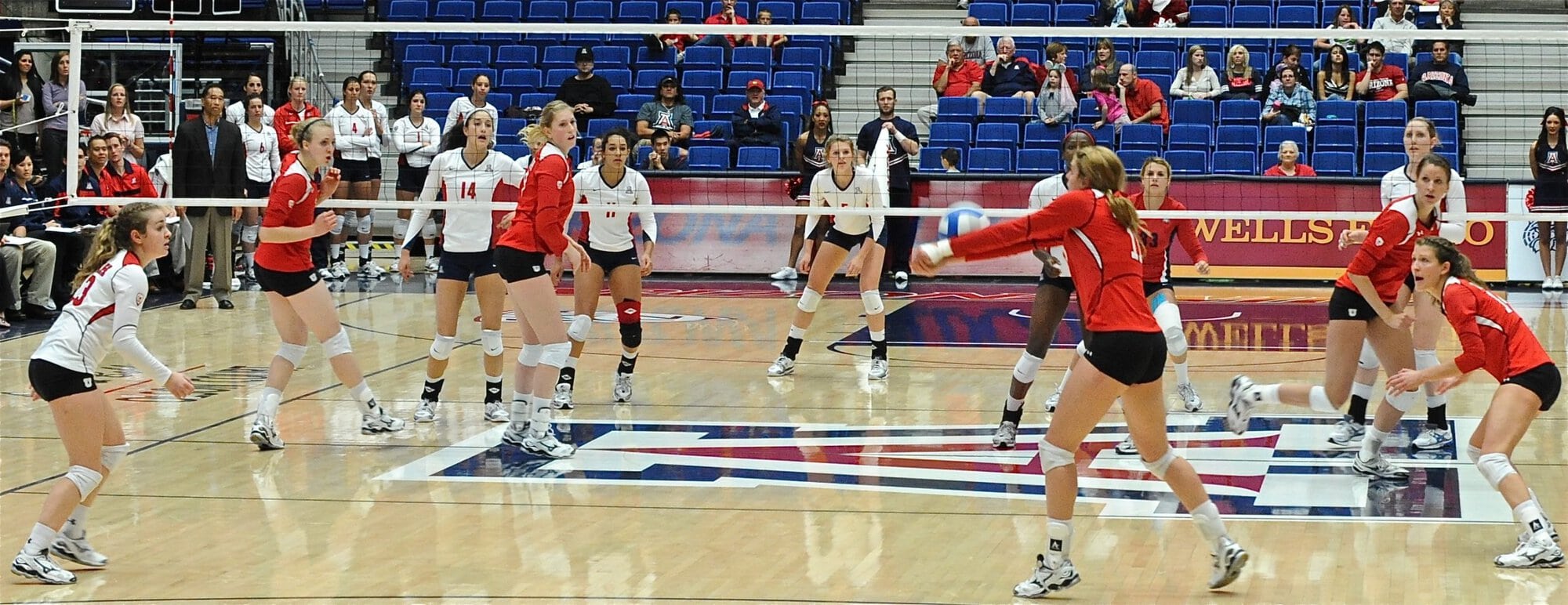UA Utah Volleyball 11/11/11