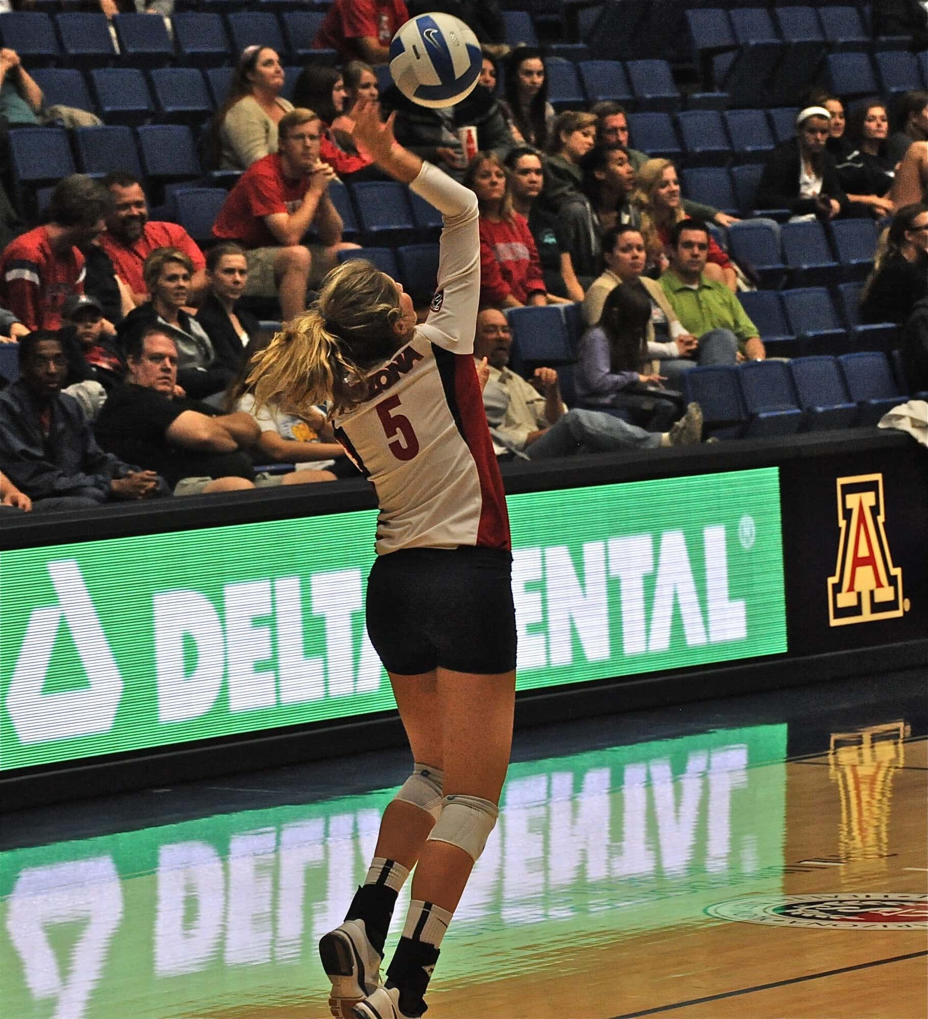 UA Utah Volleyball 11/11/11