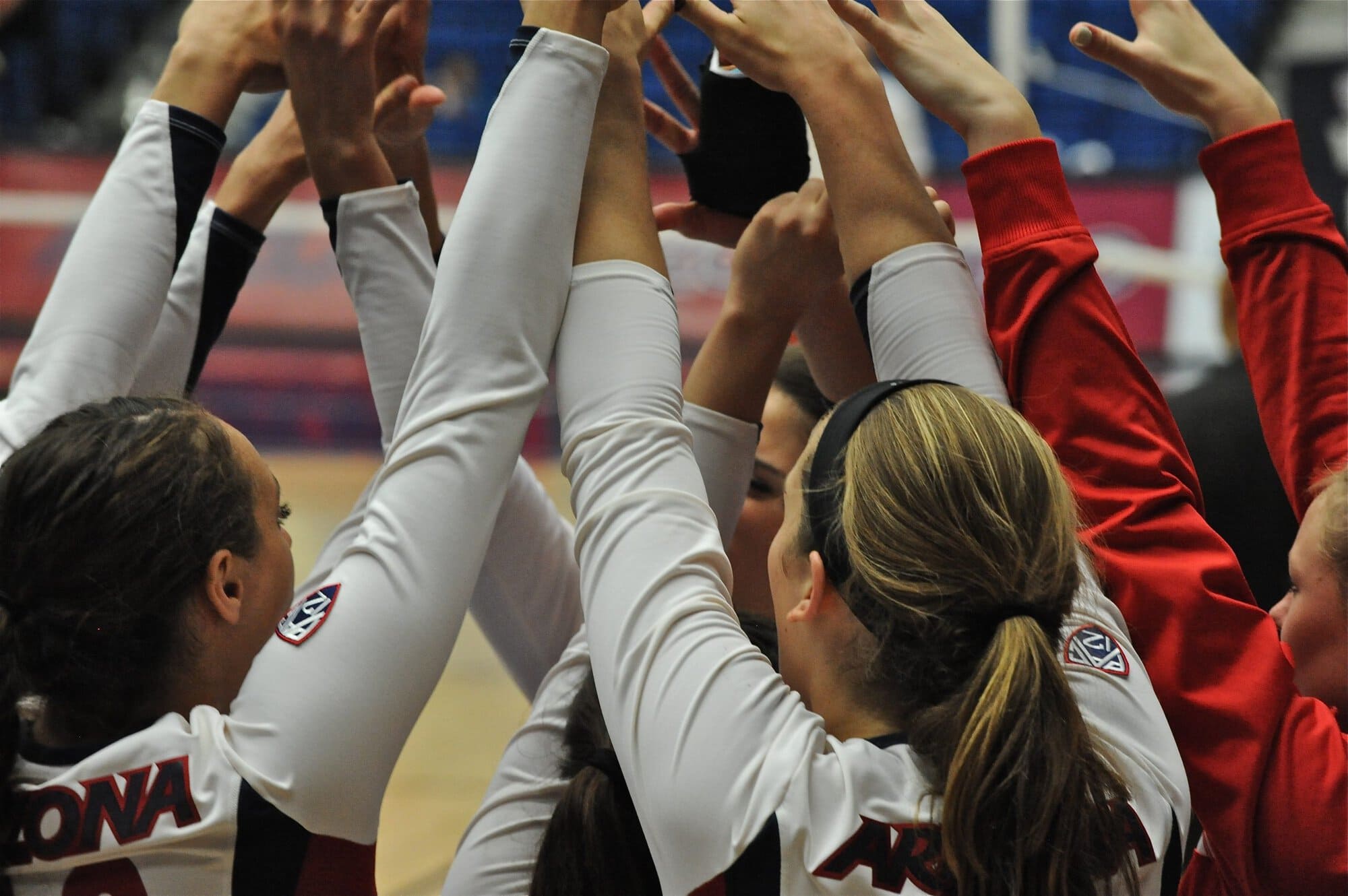 UA Utah Volleyball 11/11/11