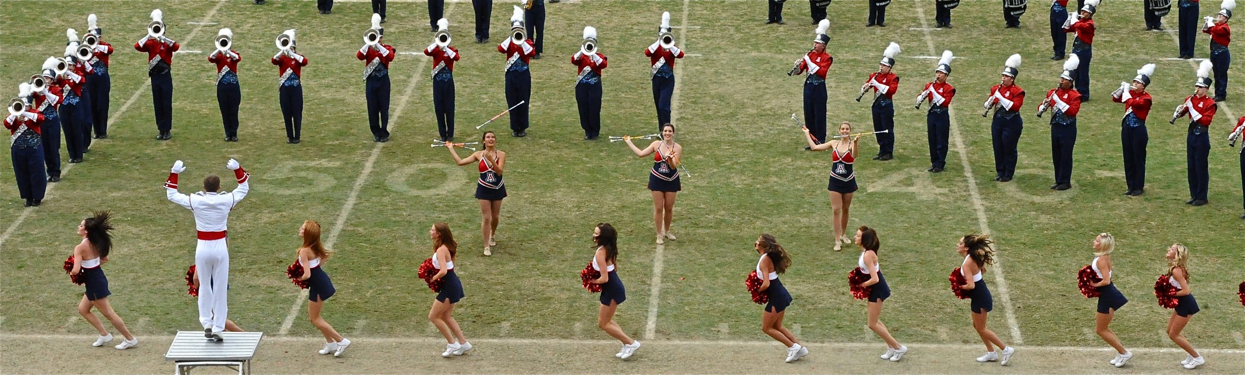 Band Day Daytime Performances