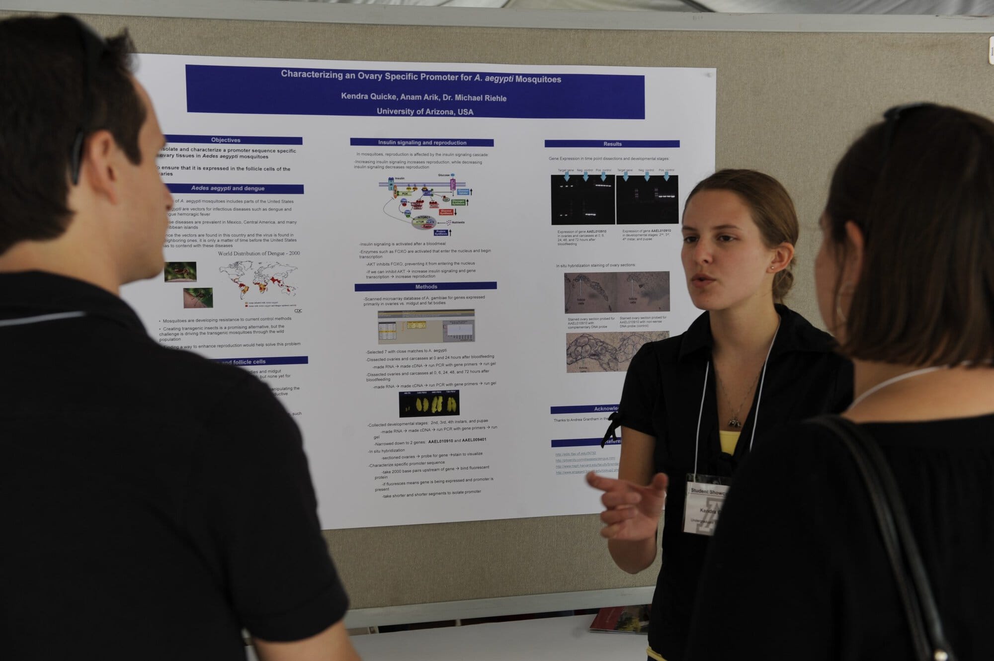 Student Showcase