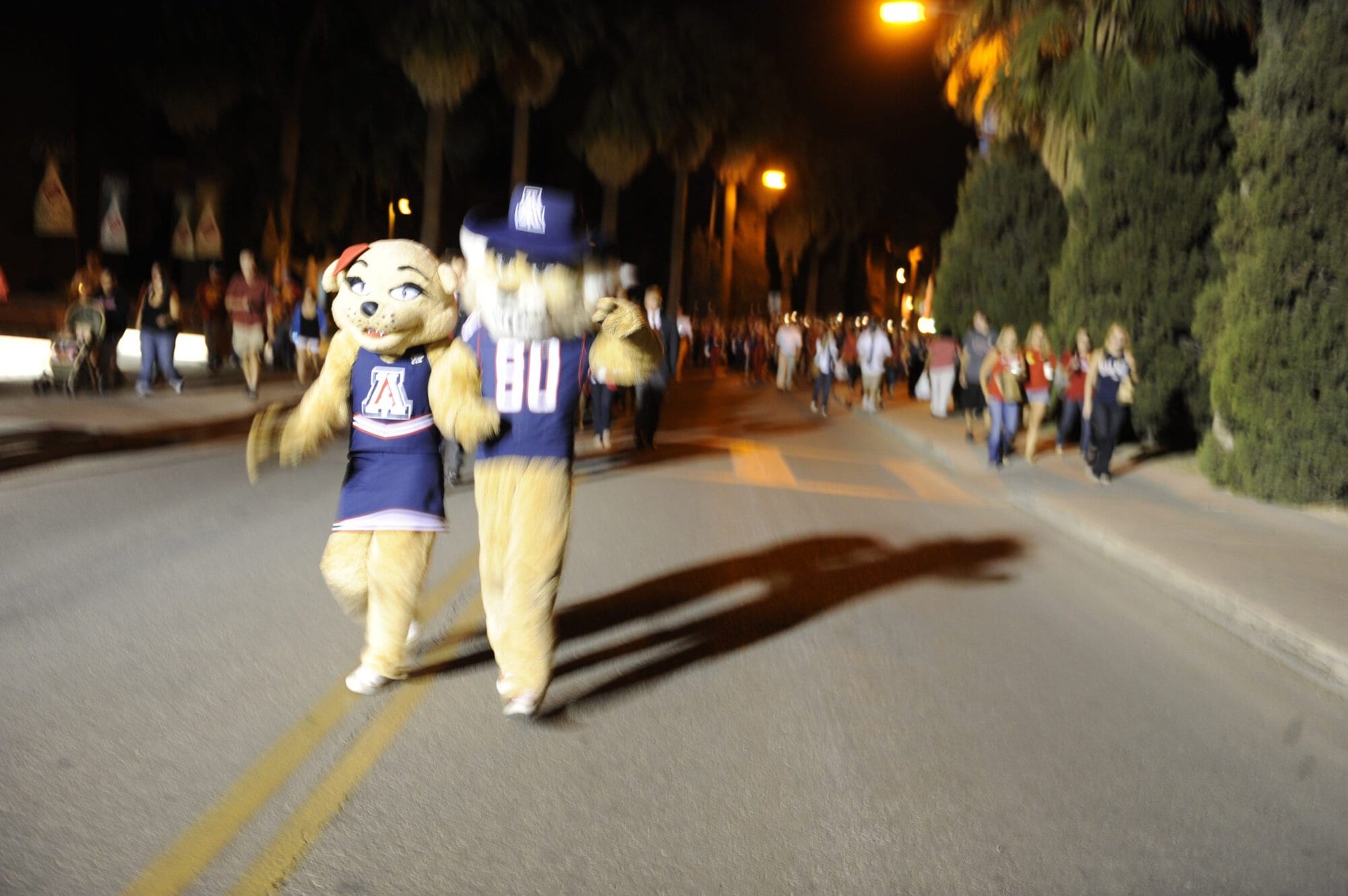 Homecoming Bonfire