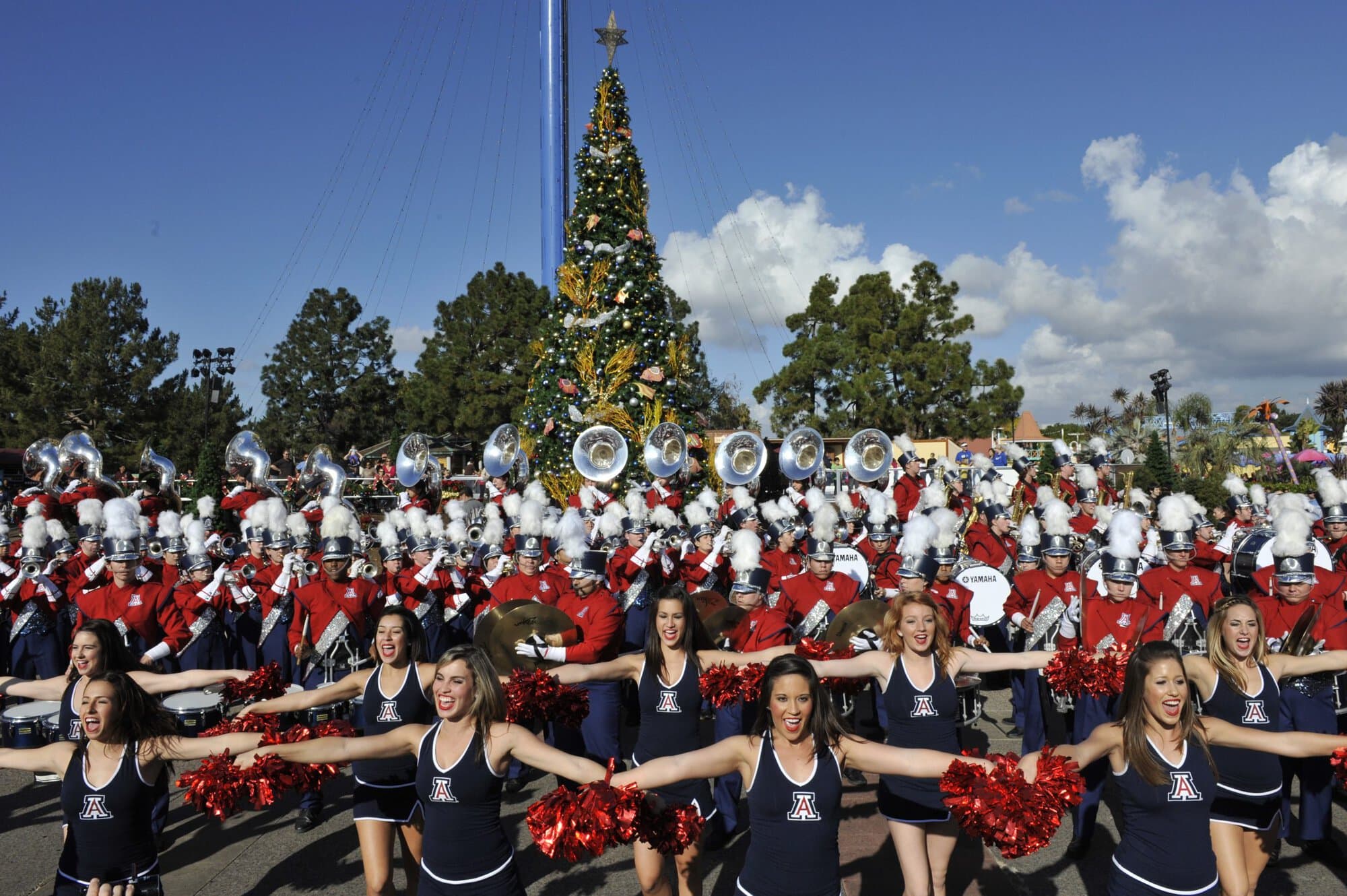 Pride at Sea World