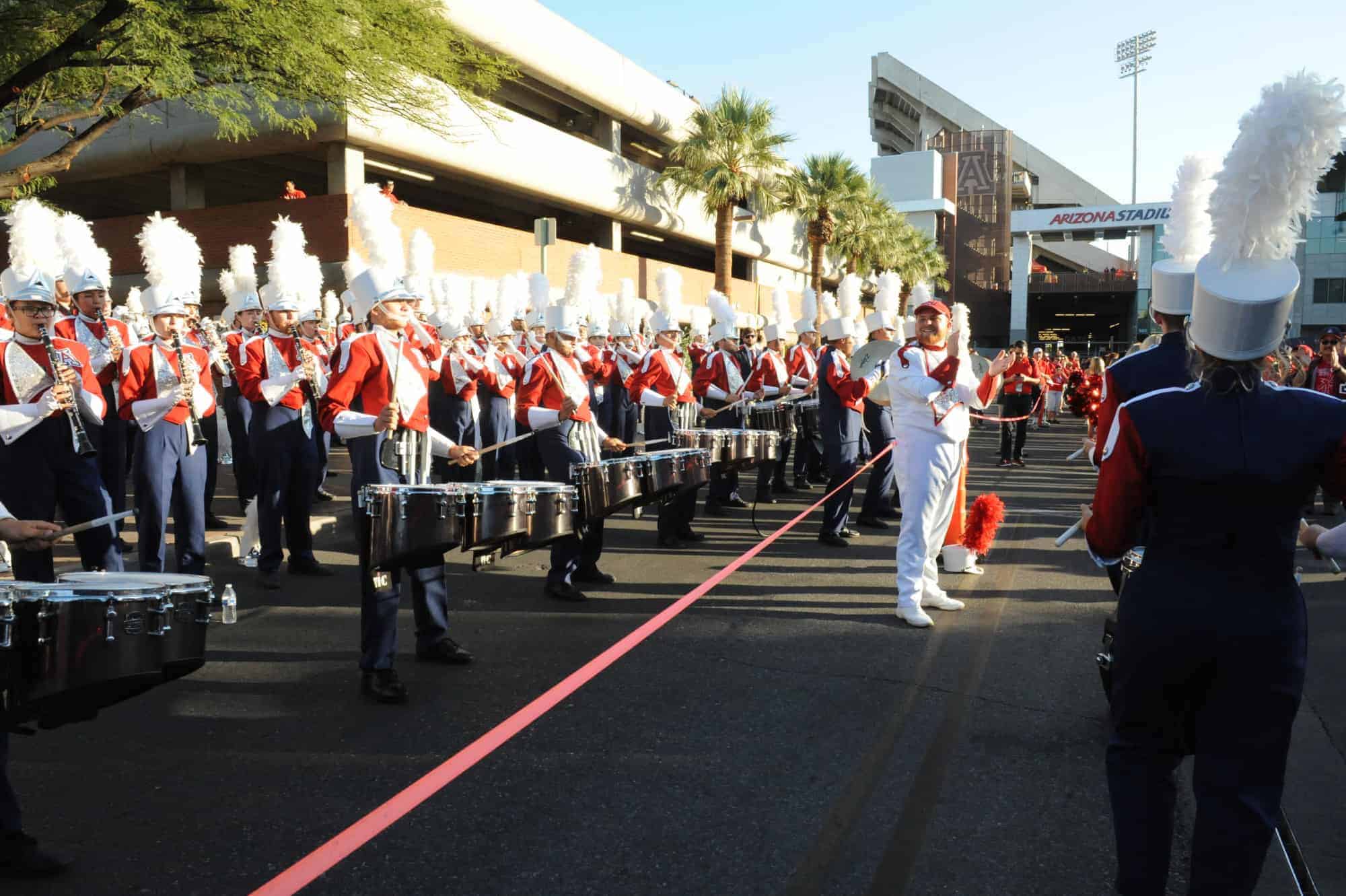 Wildcat Walk