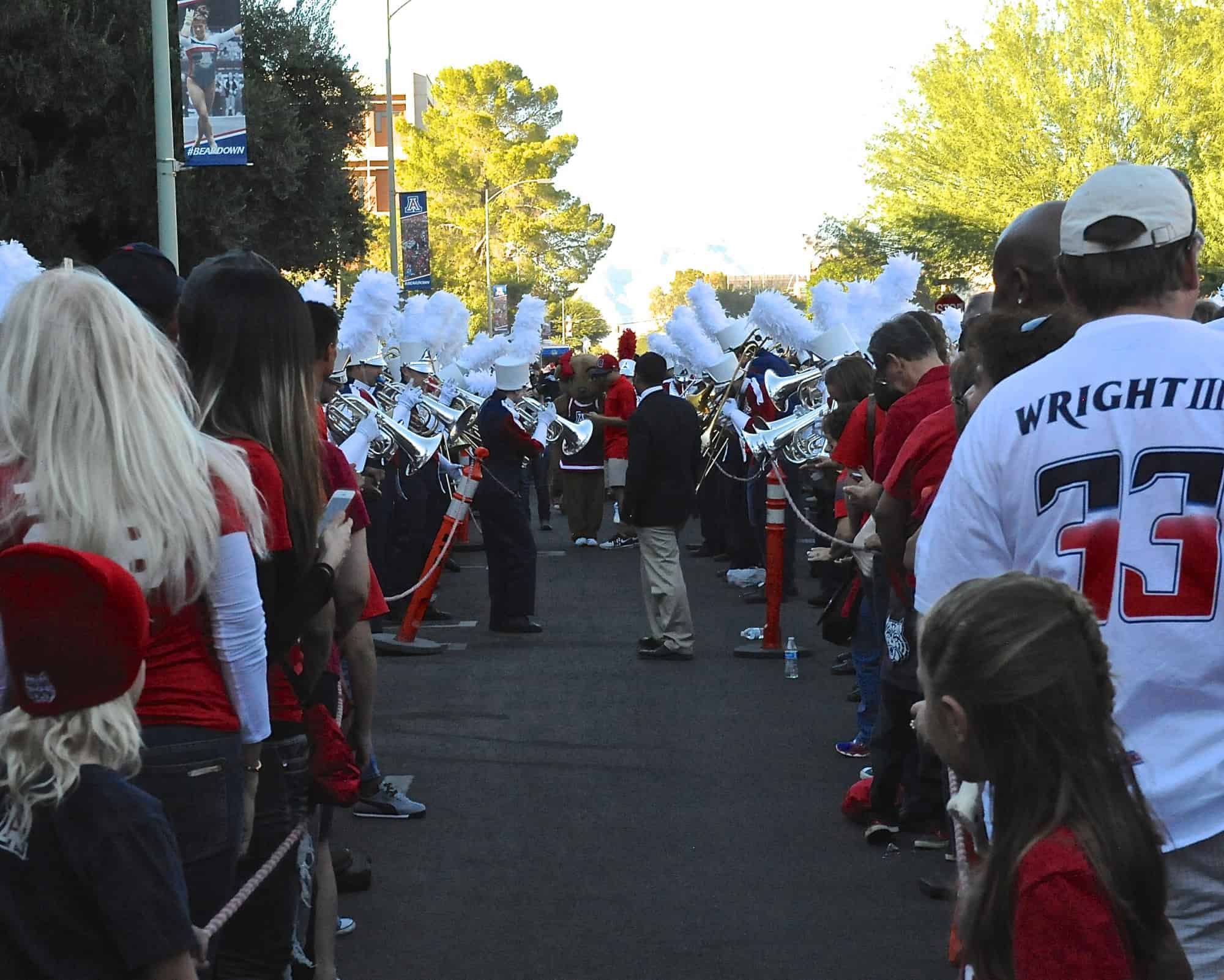 The ‘Cat Walk