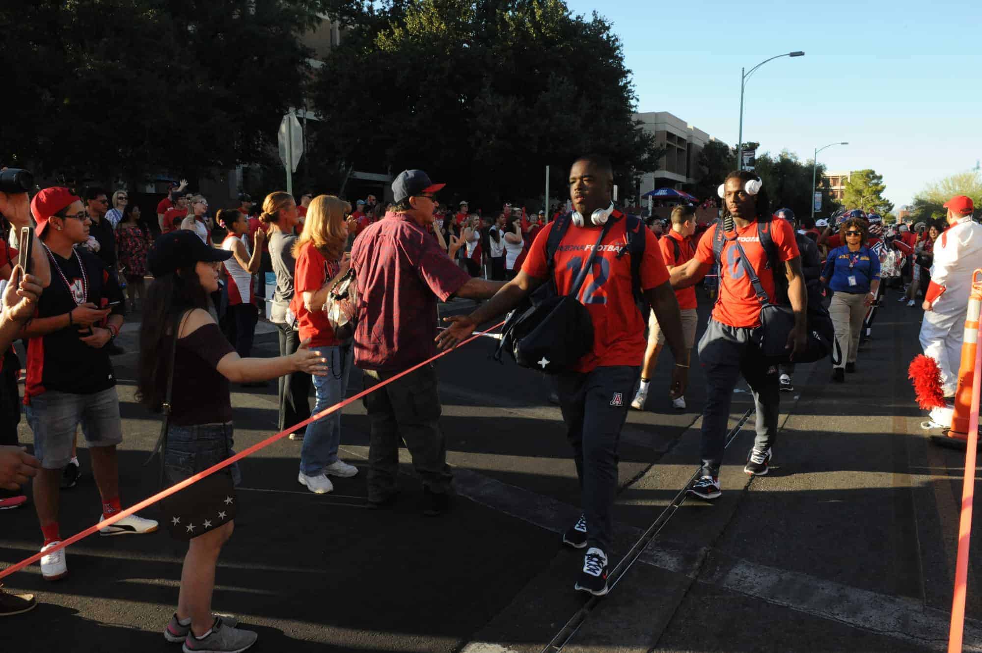 Wildcat Walk
