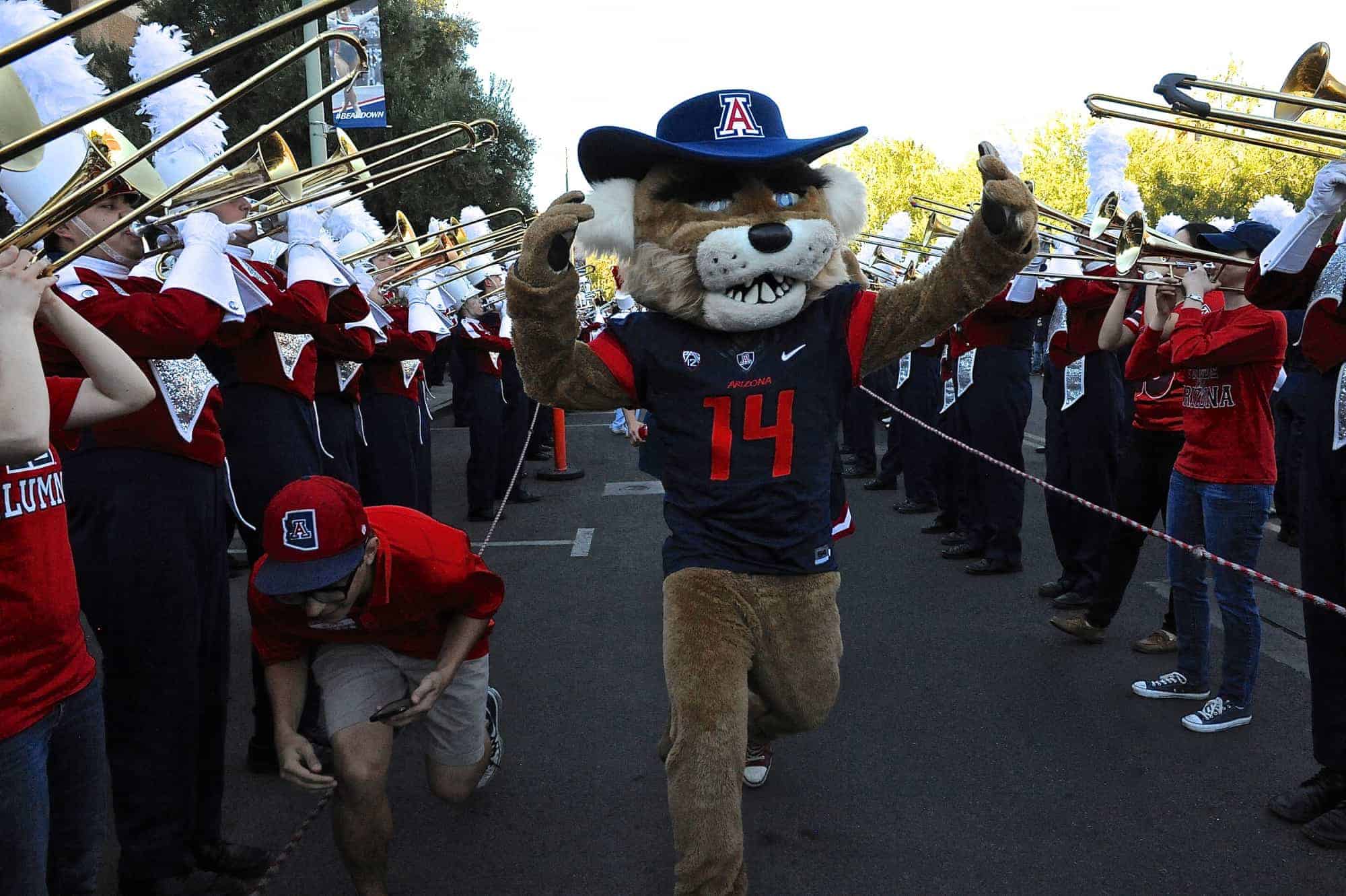 The ‘Cat Walk