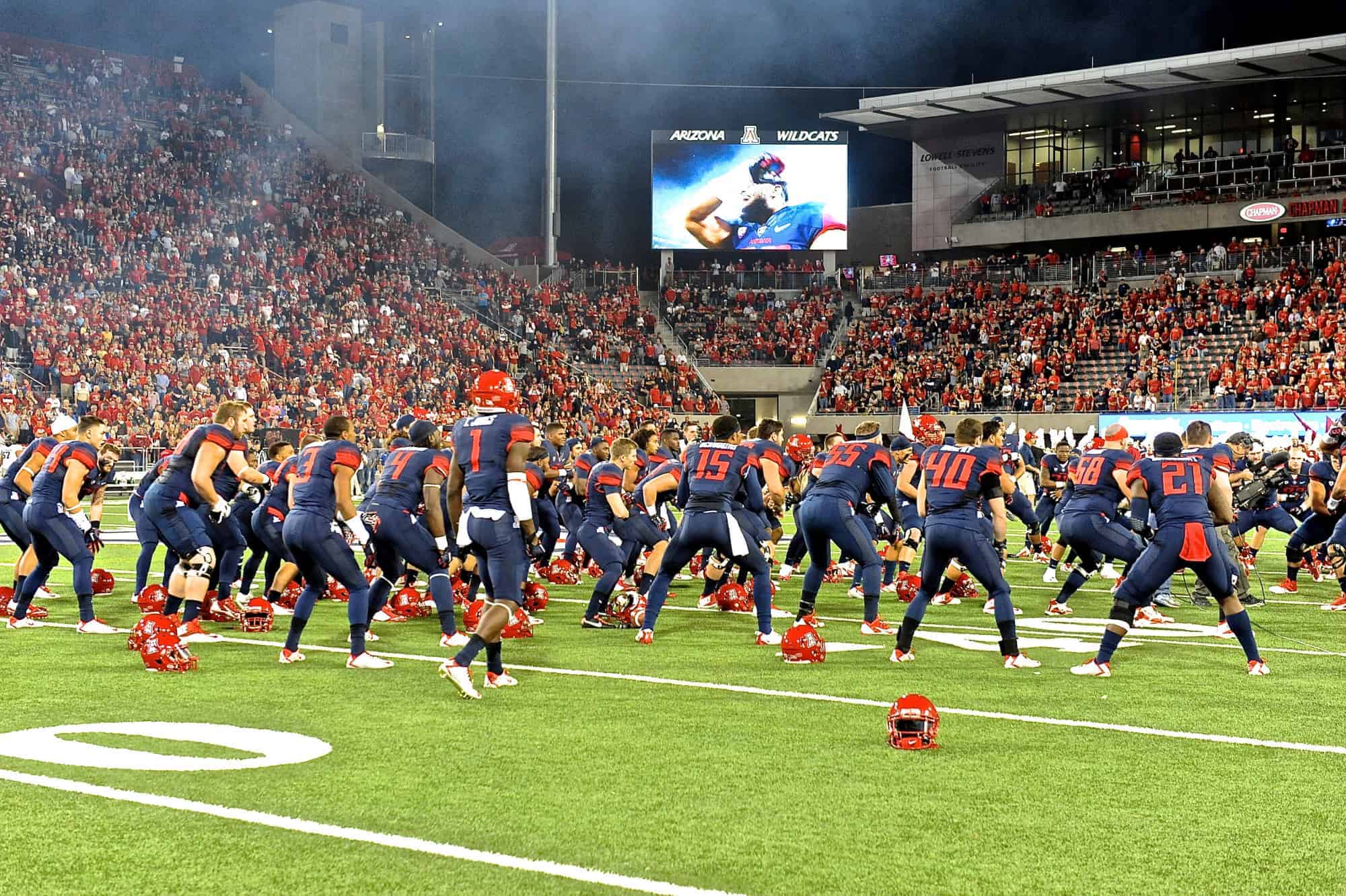 The Wildcat Warm-up