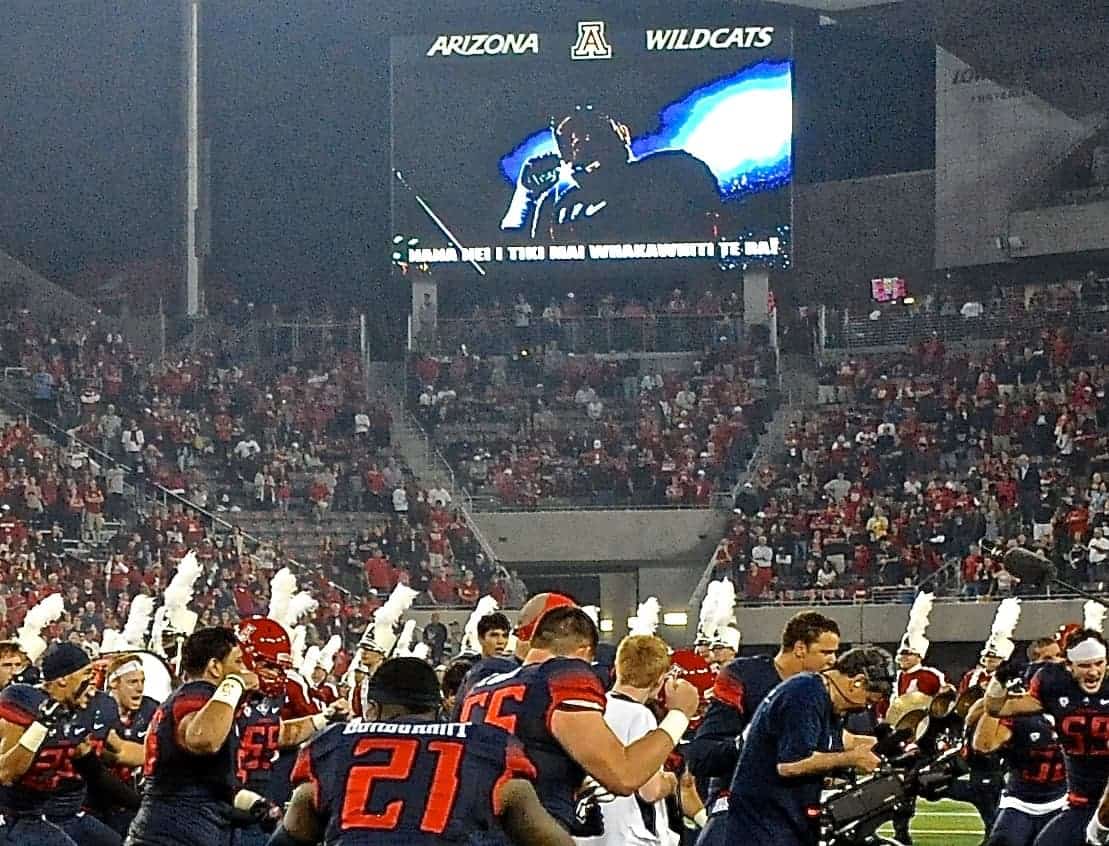 The Wildcat Warm-up
