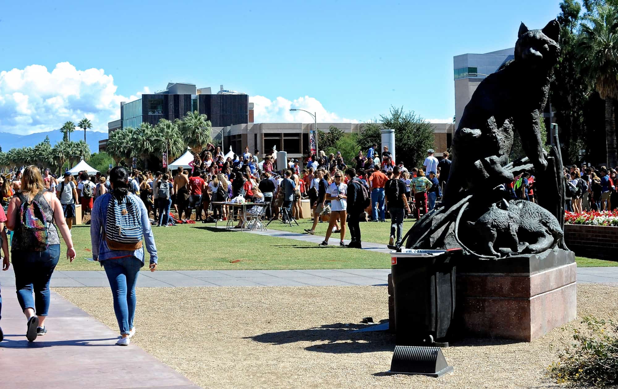 Tug of War on the Mall (2015)