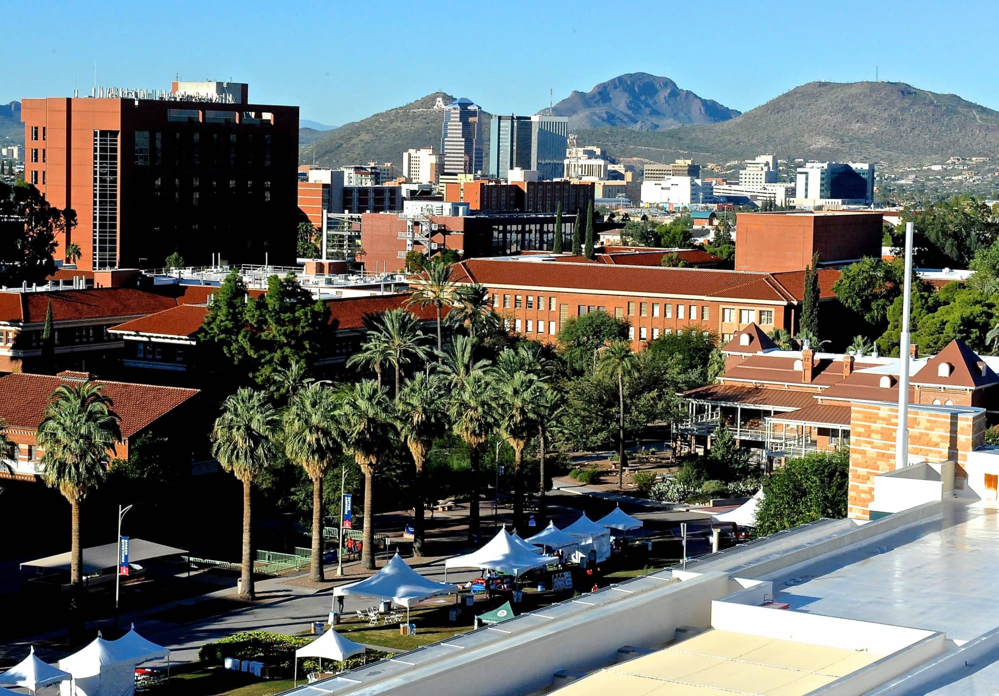 Campus Views (2015)