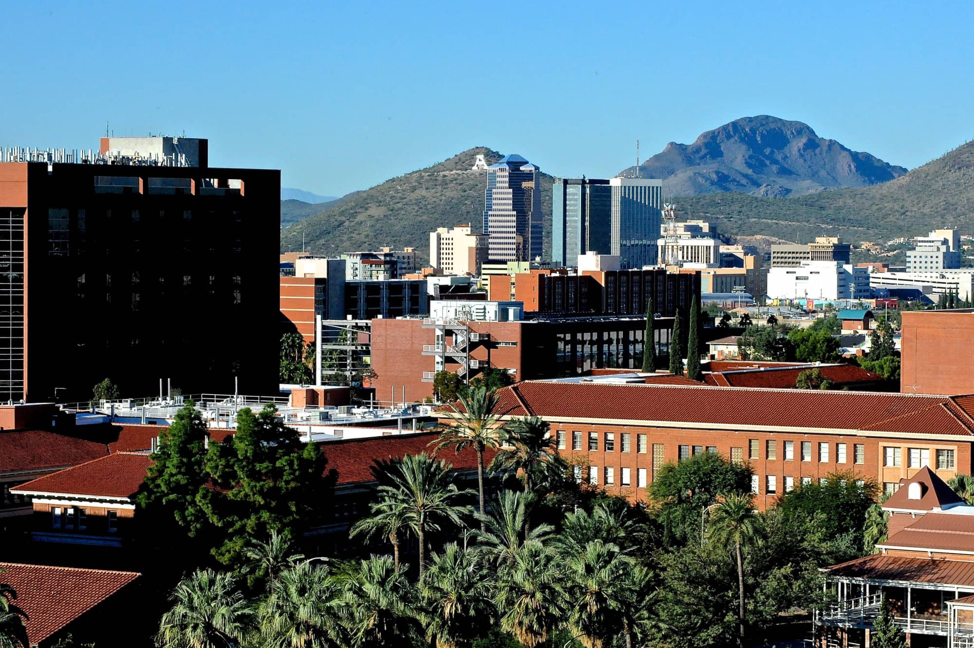 Campus Views (2015)