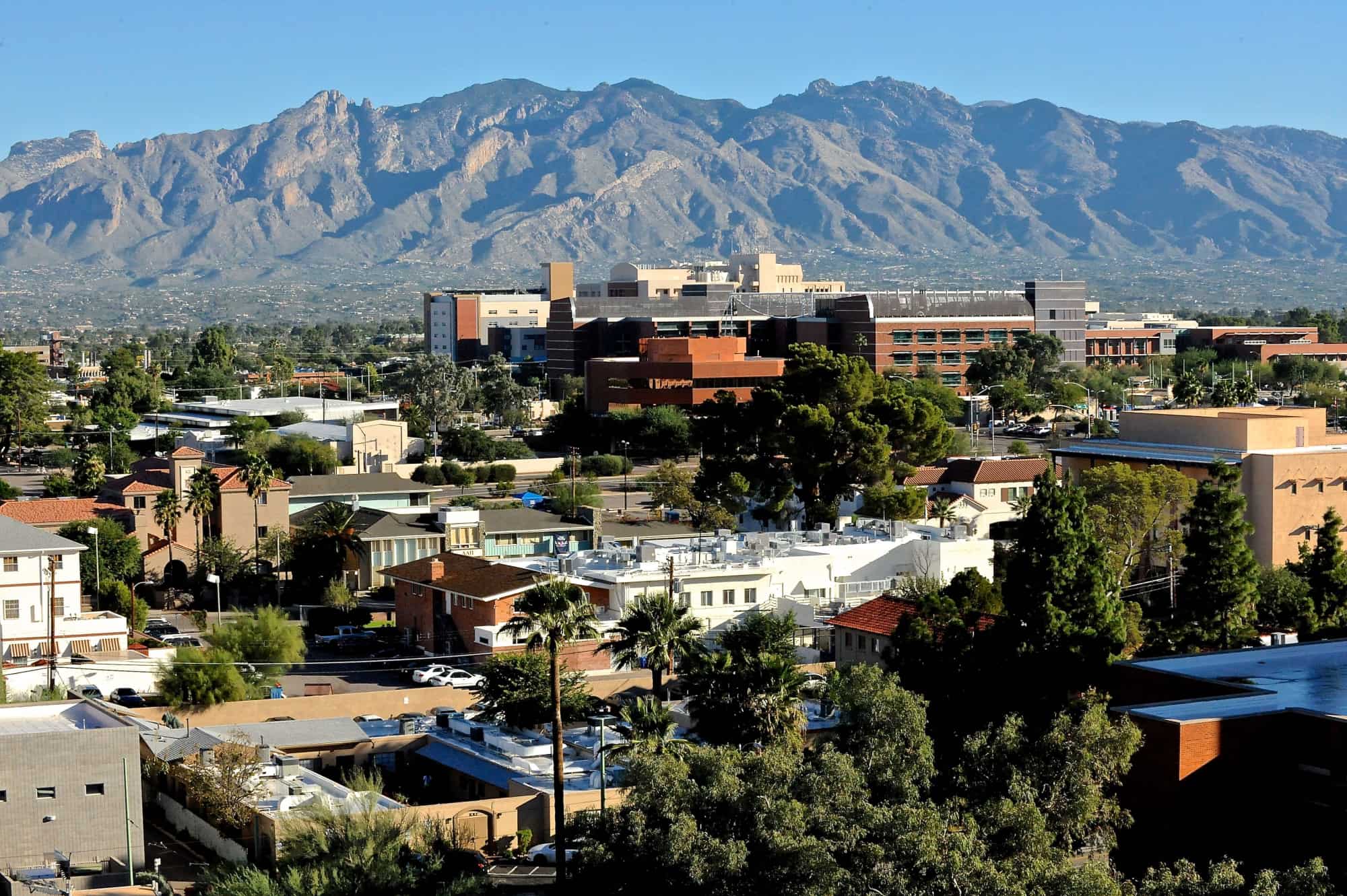 Campus Views (2015)