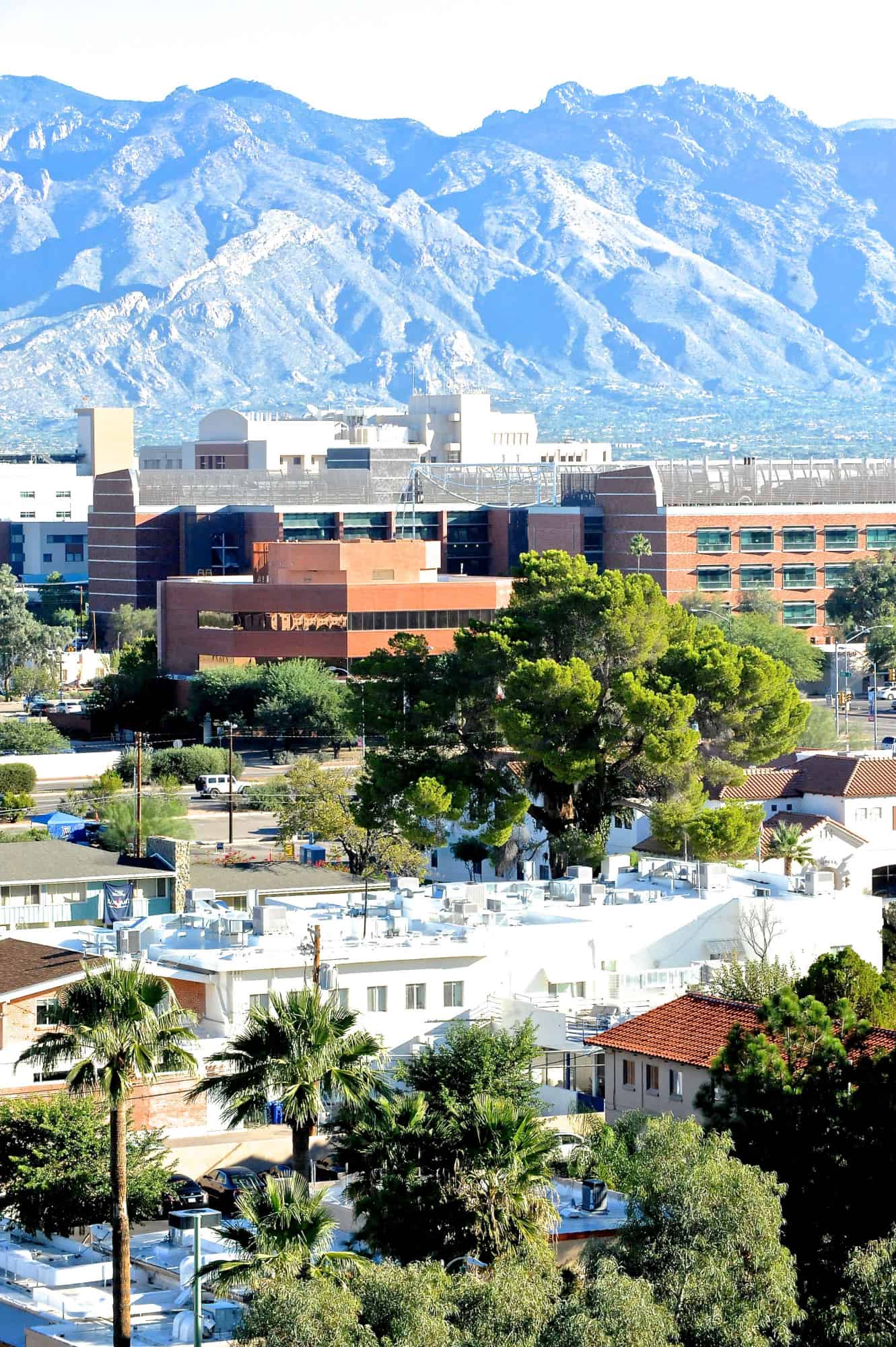 Campus Views (2015)