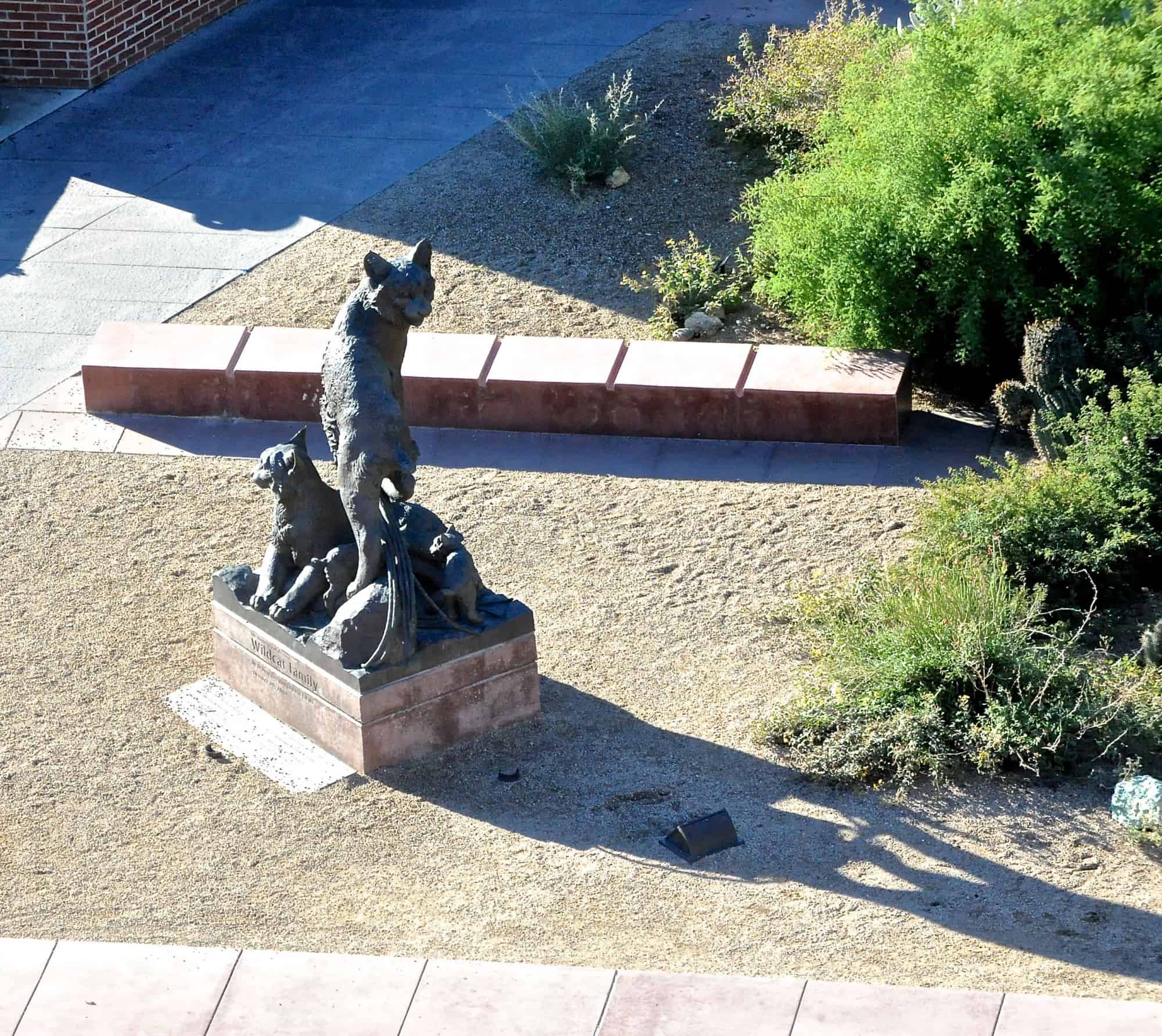 Campus Views (2015)