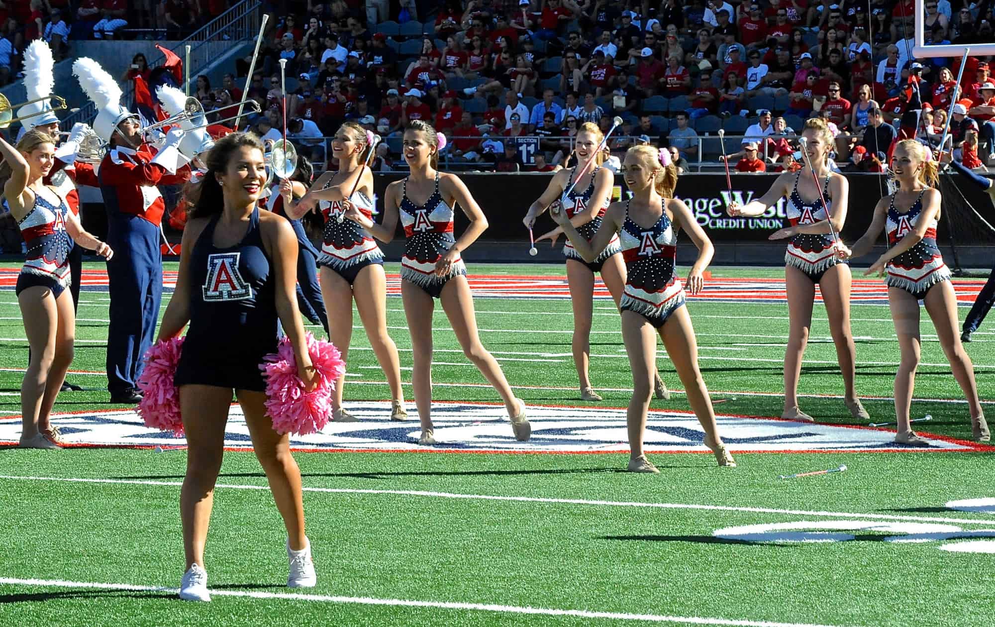 WSU vs. UA Halftime