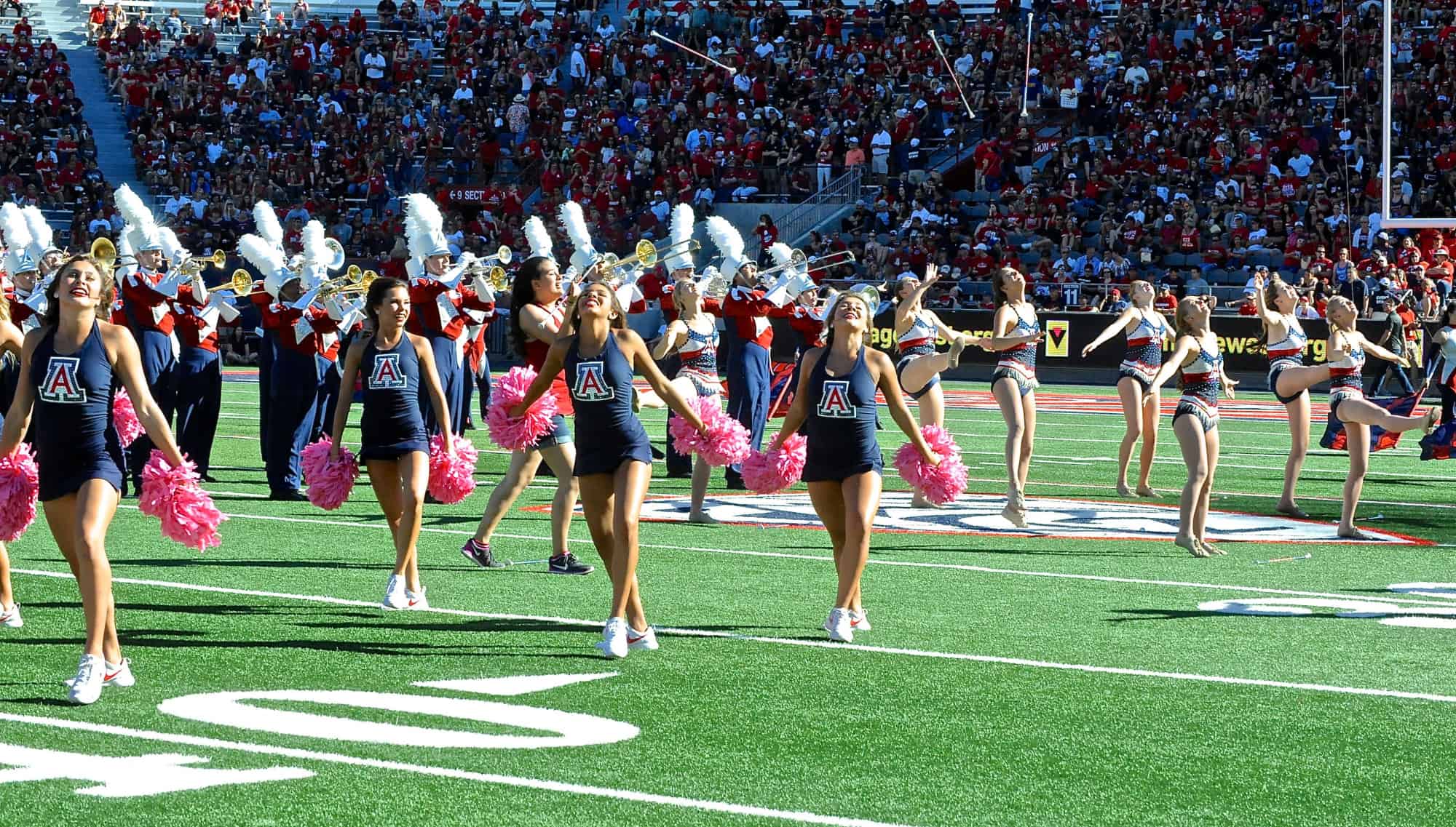 WSU vs. UA Halftime