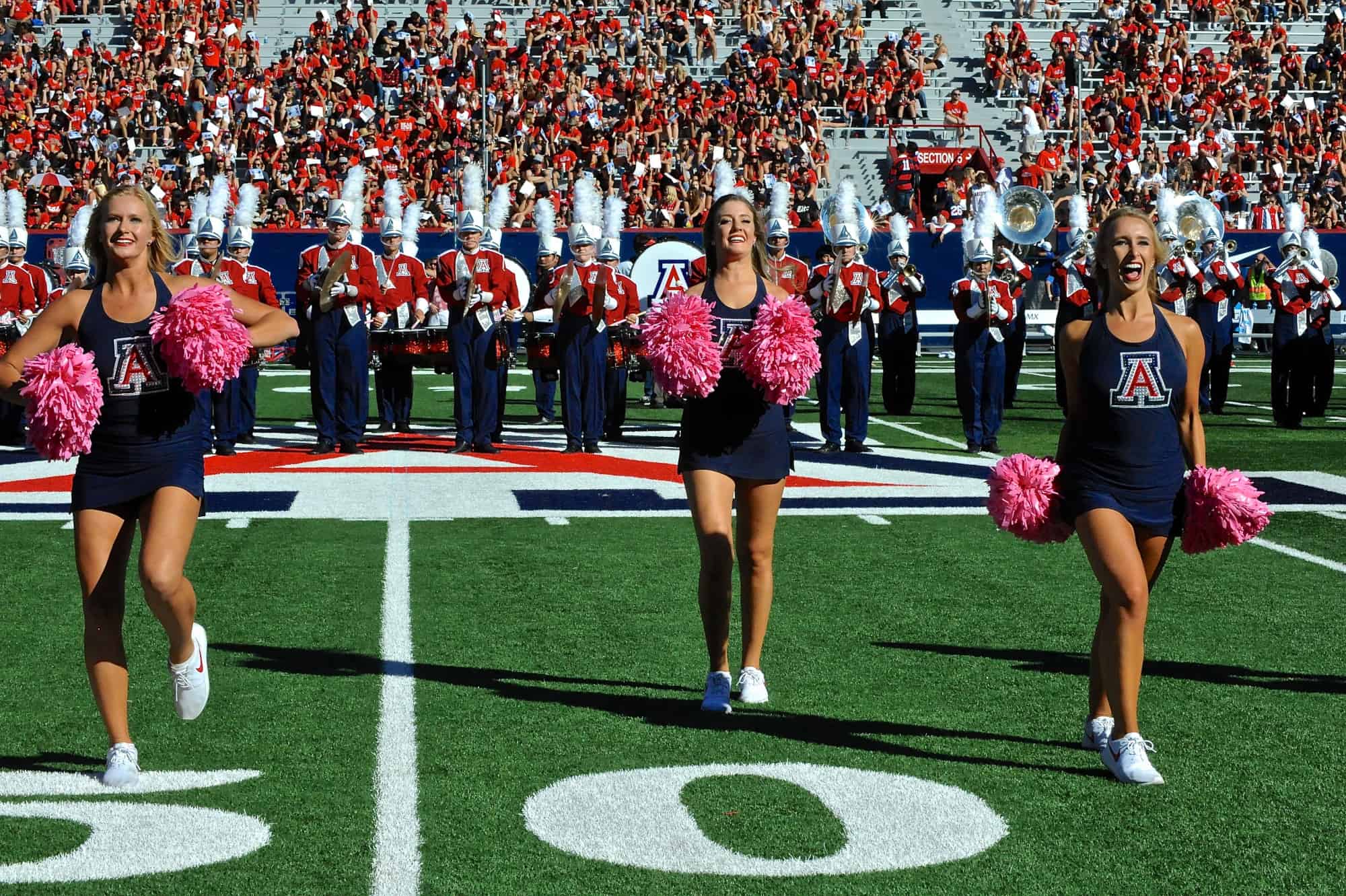 WSU vs. UA Halftime