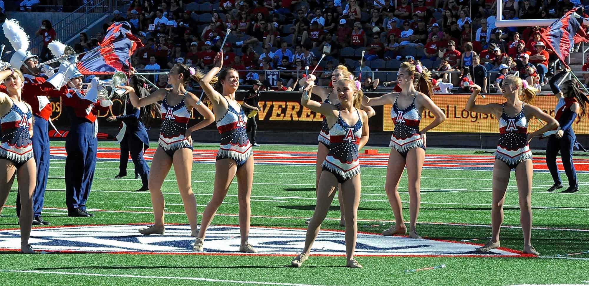 WSU vs. UA Halftime