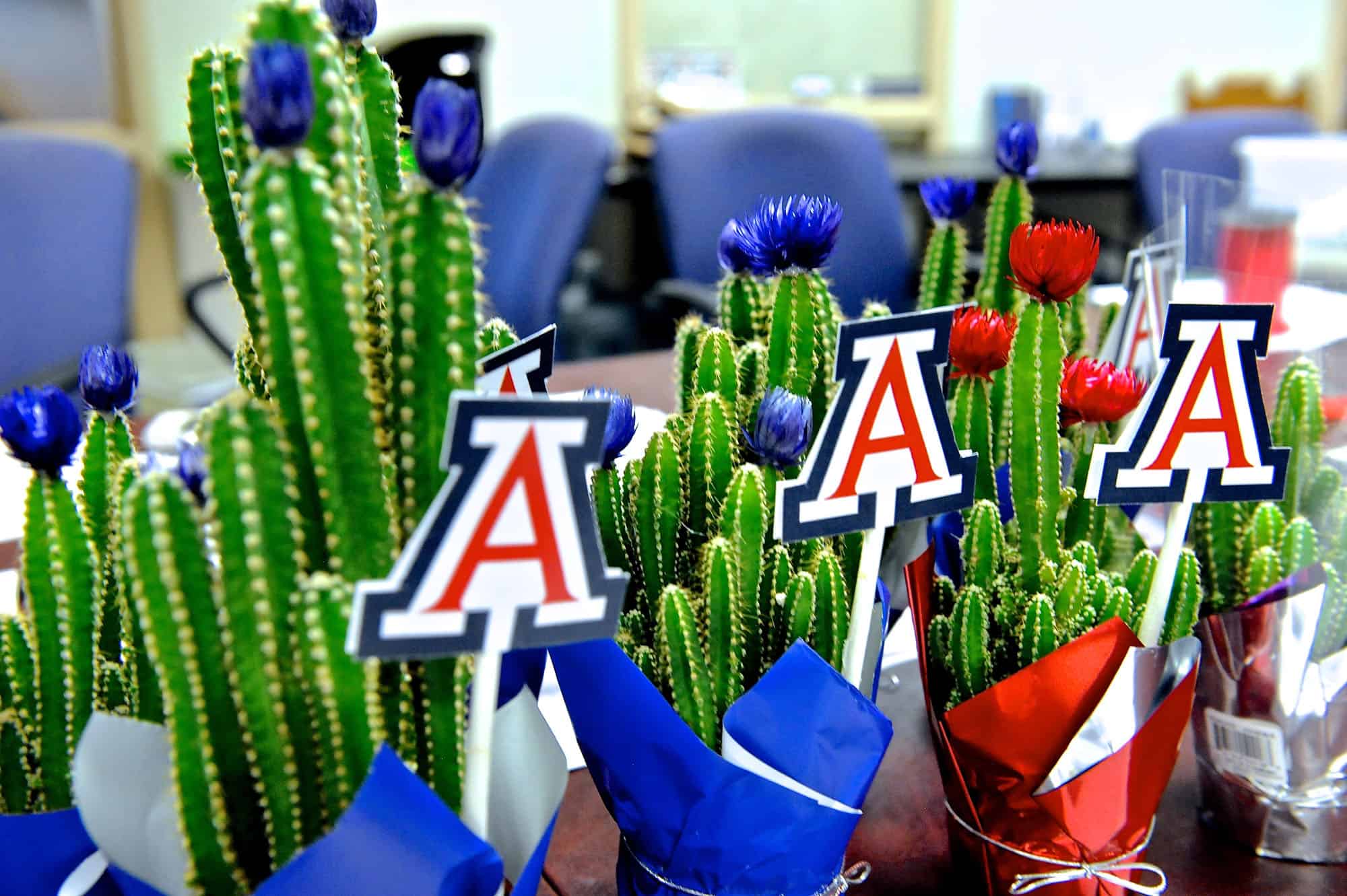 Alumni Association Homecoming Prep