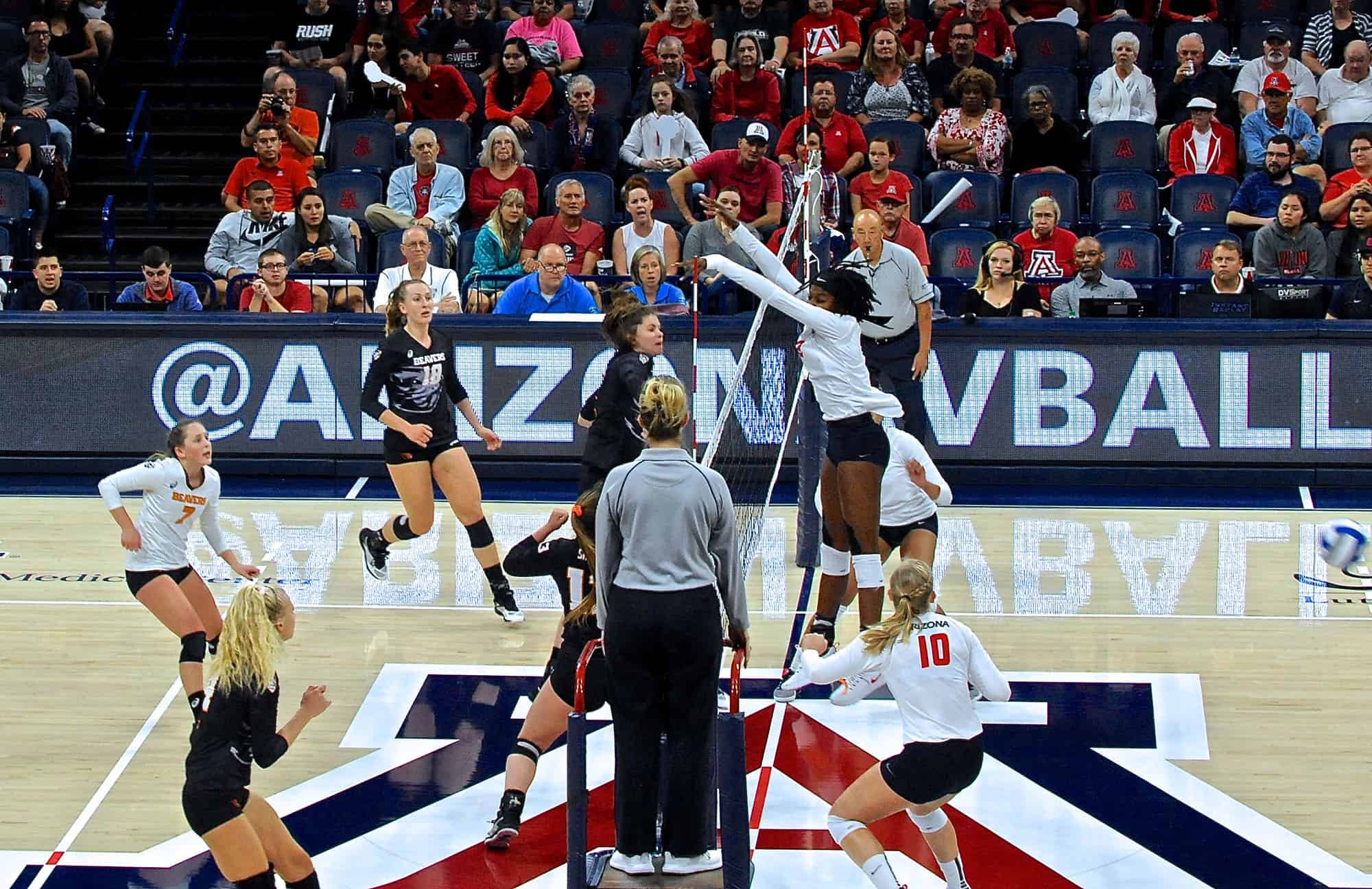 Arizona vs Oregon State Women’s Volleyball