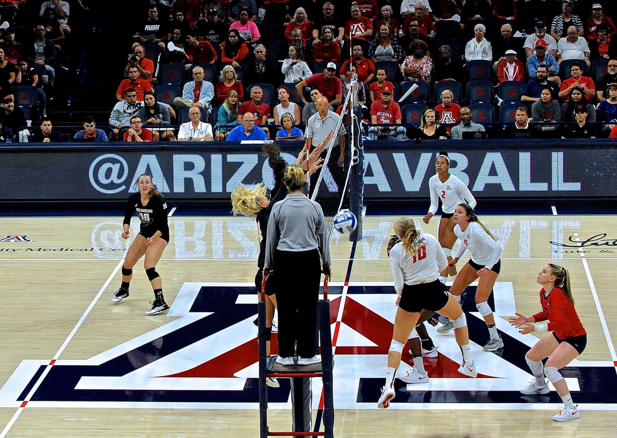 Arizona vs Oregon State Women’s Volleyball