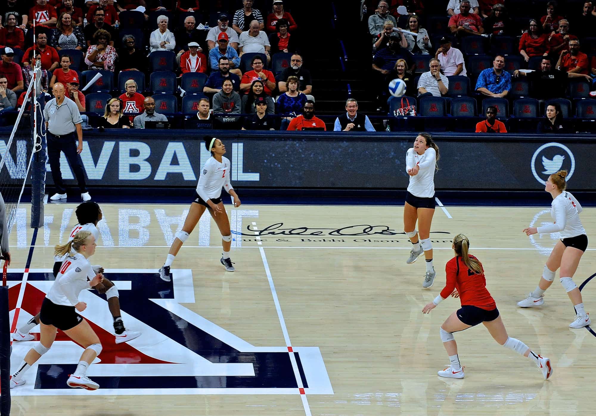Arizona vs Oregon State Women’s Volleyball