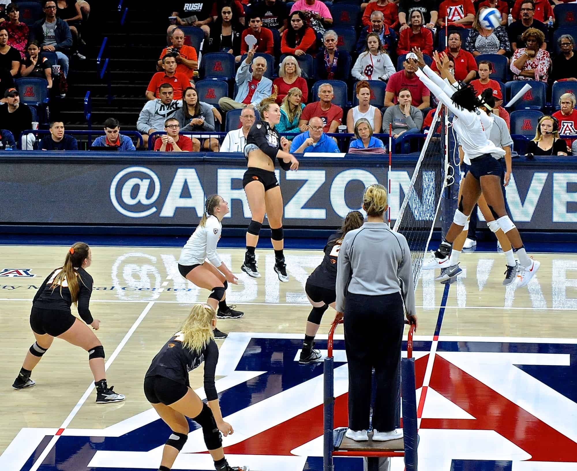 Arizona vs Oregon State Women’s Volleyball