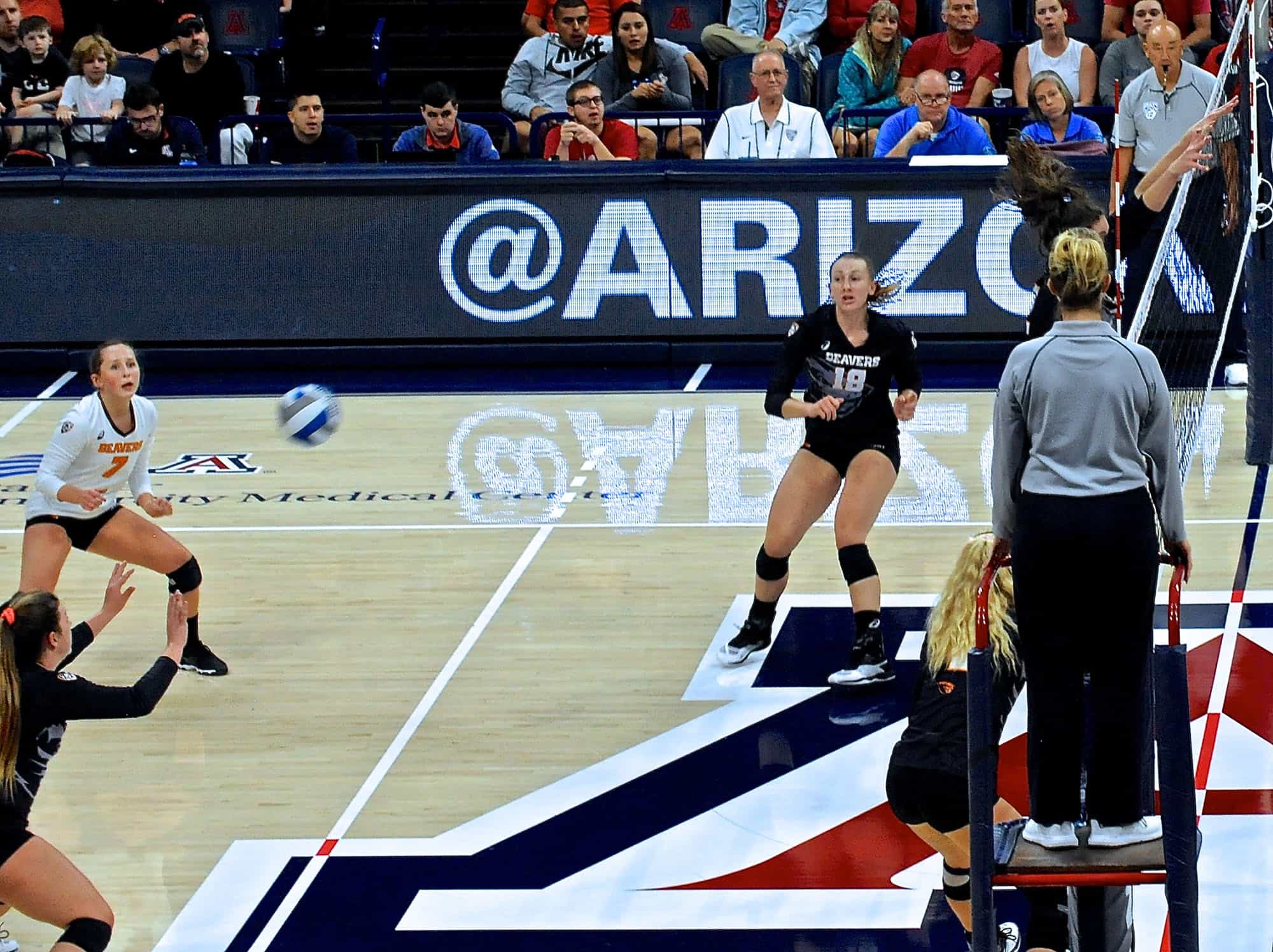 Arizona vs Oregon State Women’s Volleyball