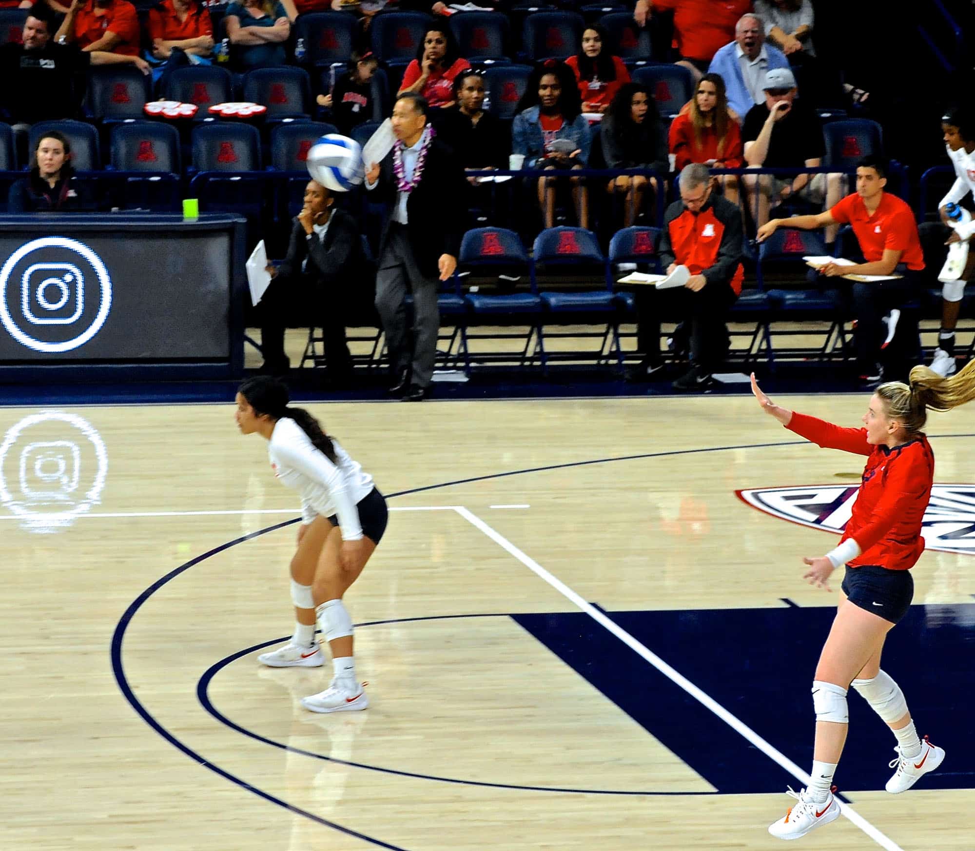 Arizona vs Oregon State Women’s Volleyball