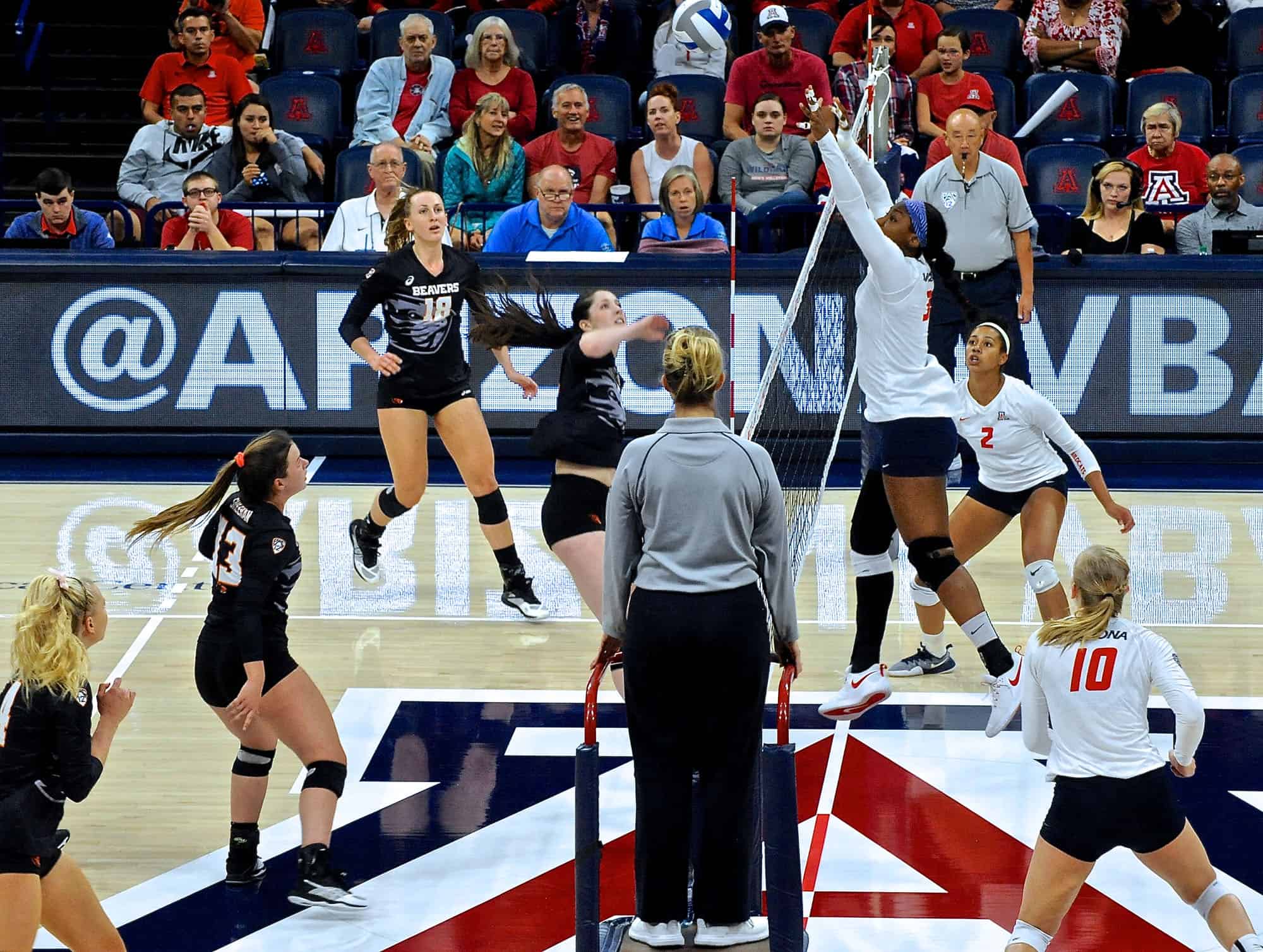 Arizona vs Oregon State Women’s Volleyball