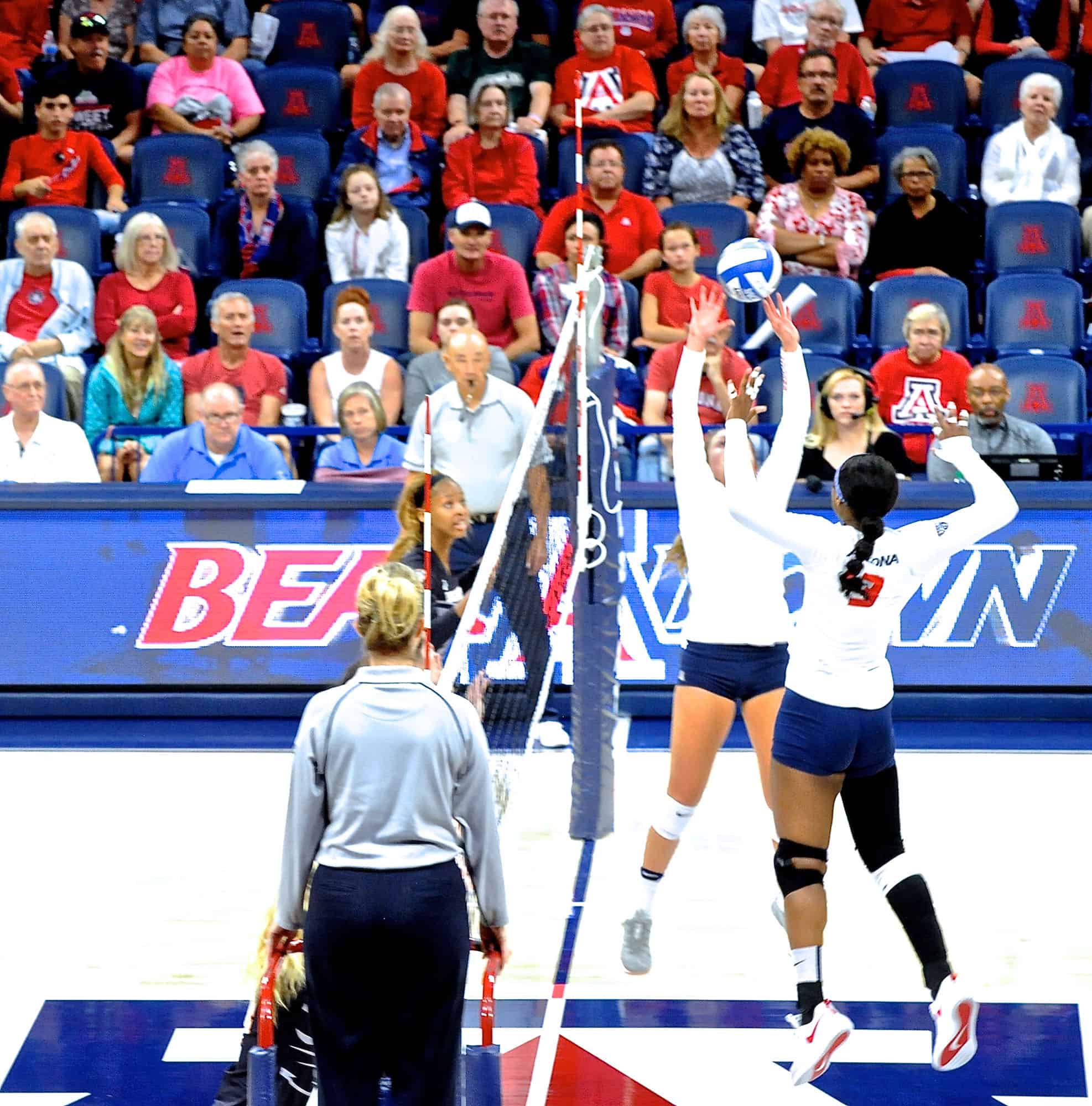 Arizona vs Oregon State Women’s Volleyball