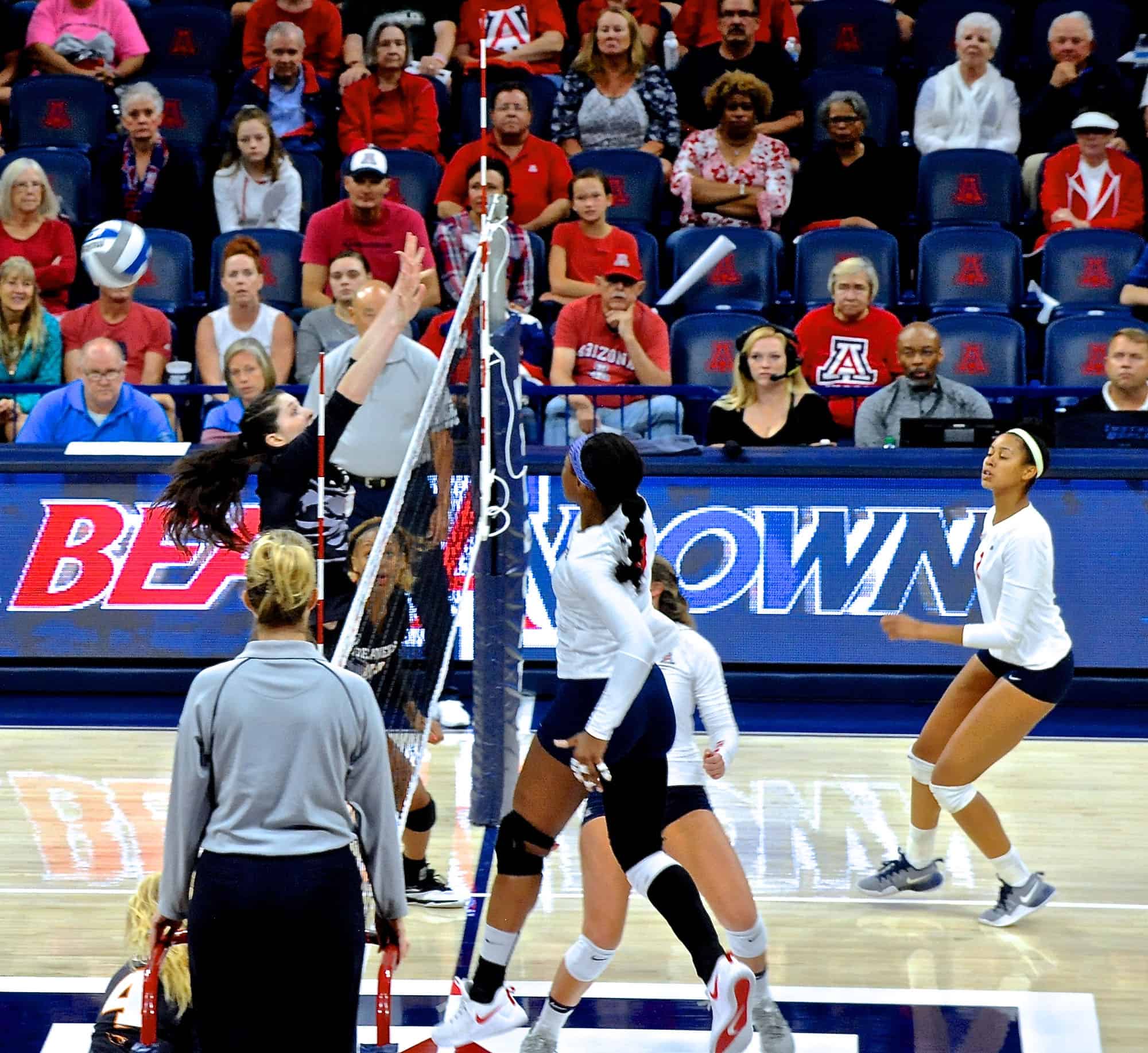 Arizona vs Oregon State Women’s Volleyball