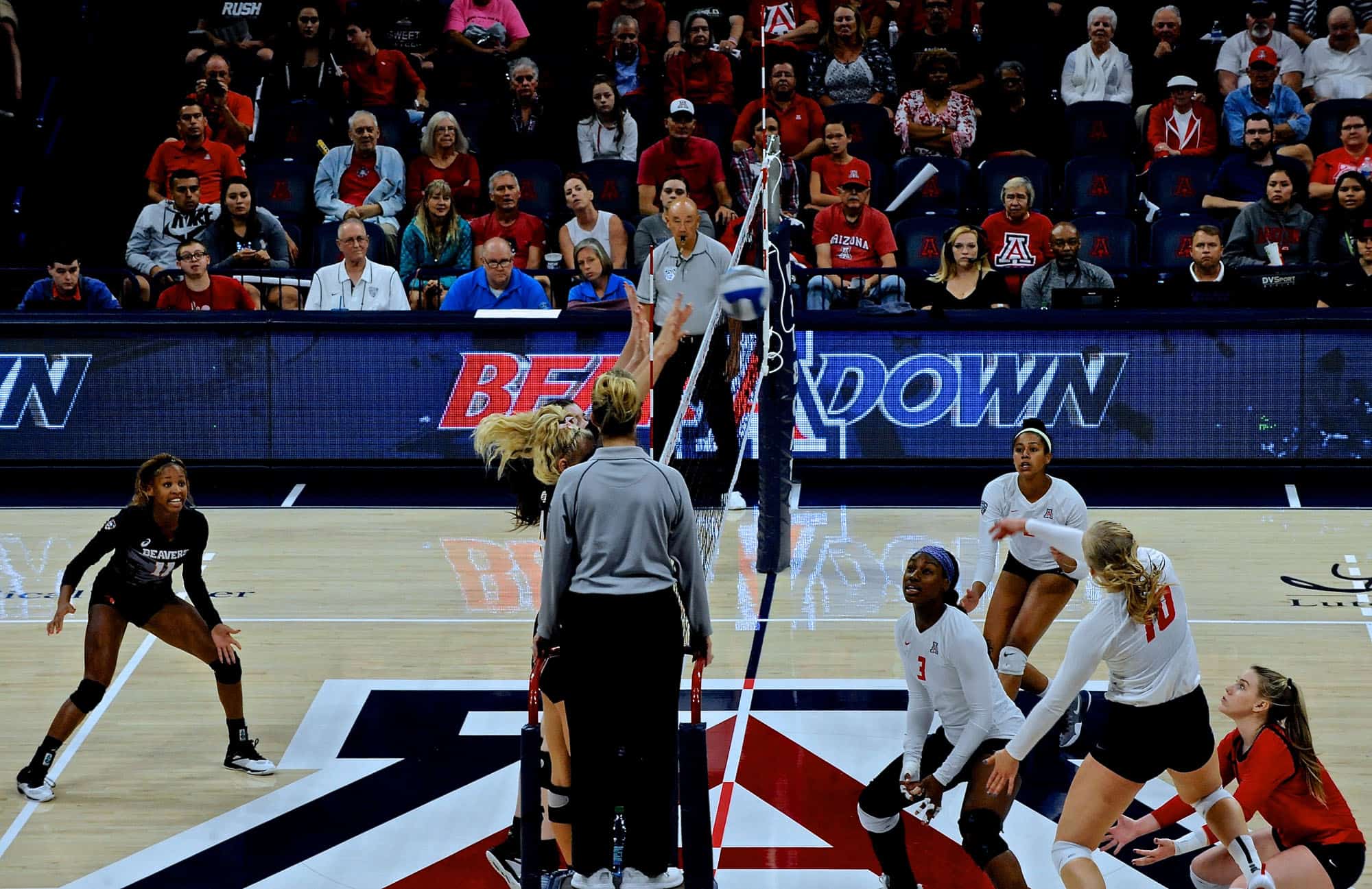 Arizona vs Oregon State Women’s Volleyball