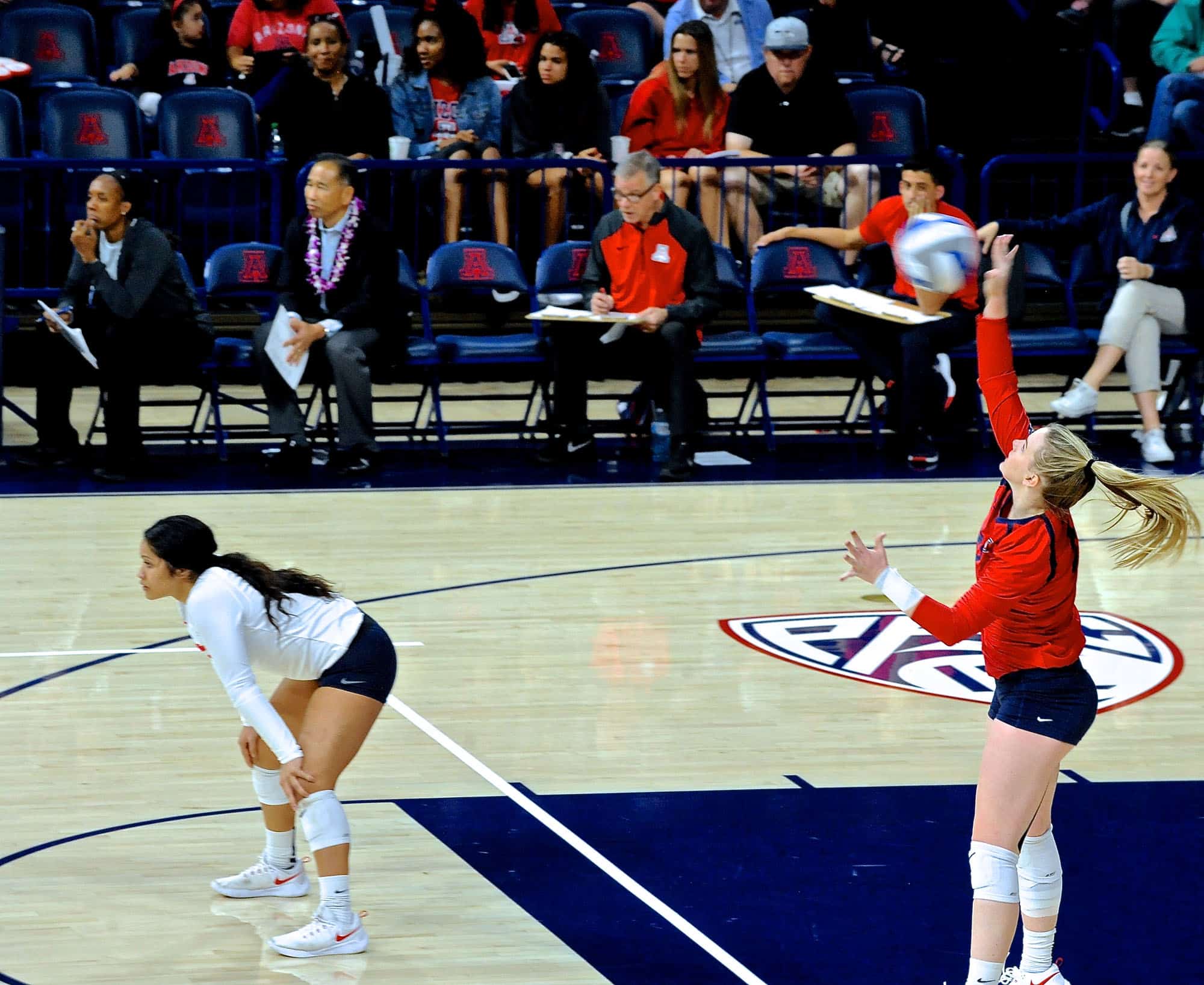 Arizona vs Oregon State Women’s Volleyball