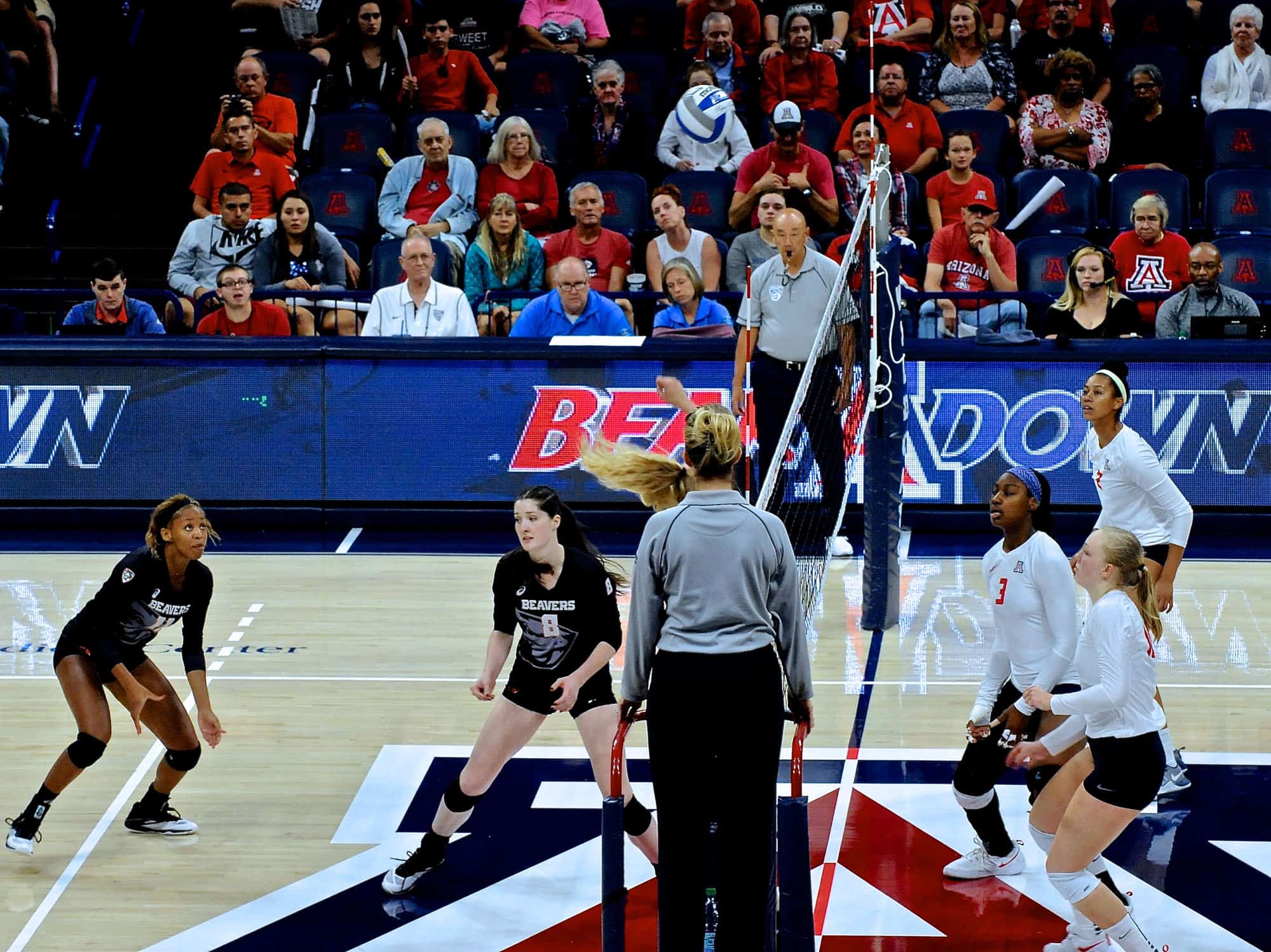 Arizona vs Oregon State Women’s Volleyball