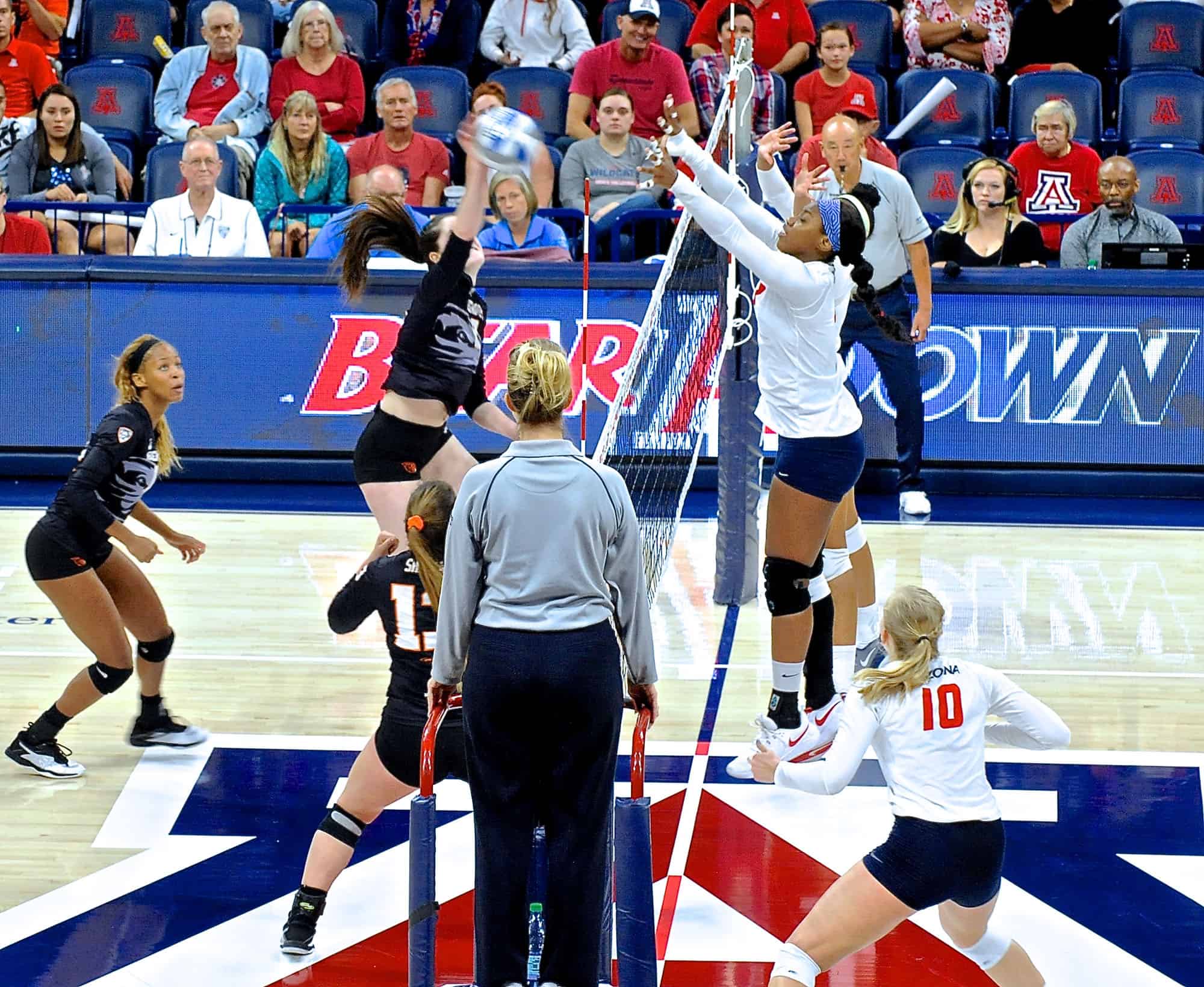 Arizona vs Oregon State Women’s Volleyball