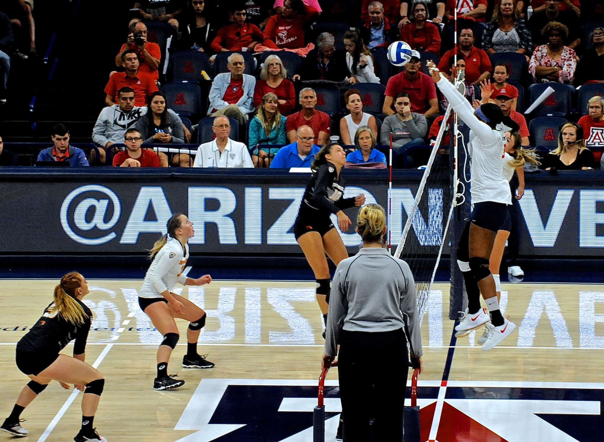 Arizona vs Oregon State Women’s Volleyball