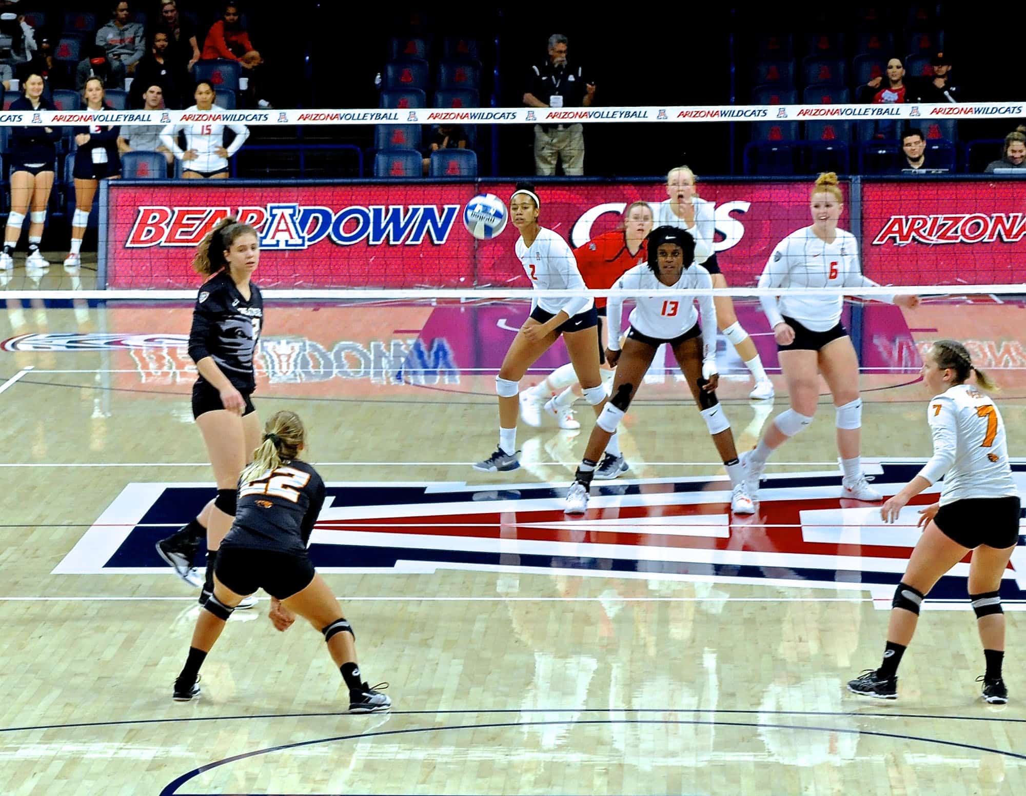 Arizona vs Oregon State Women’s Volleyball